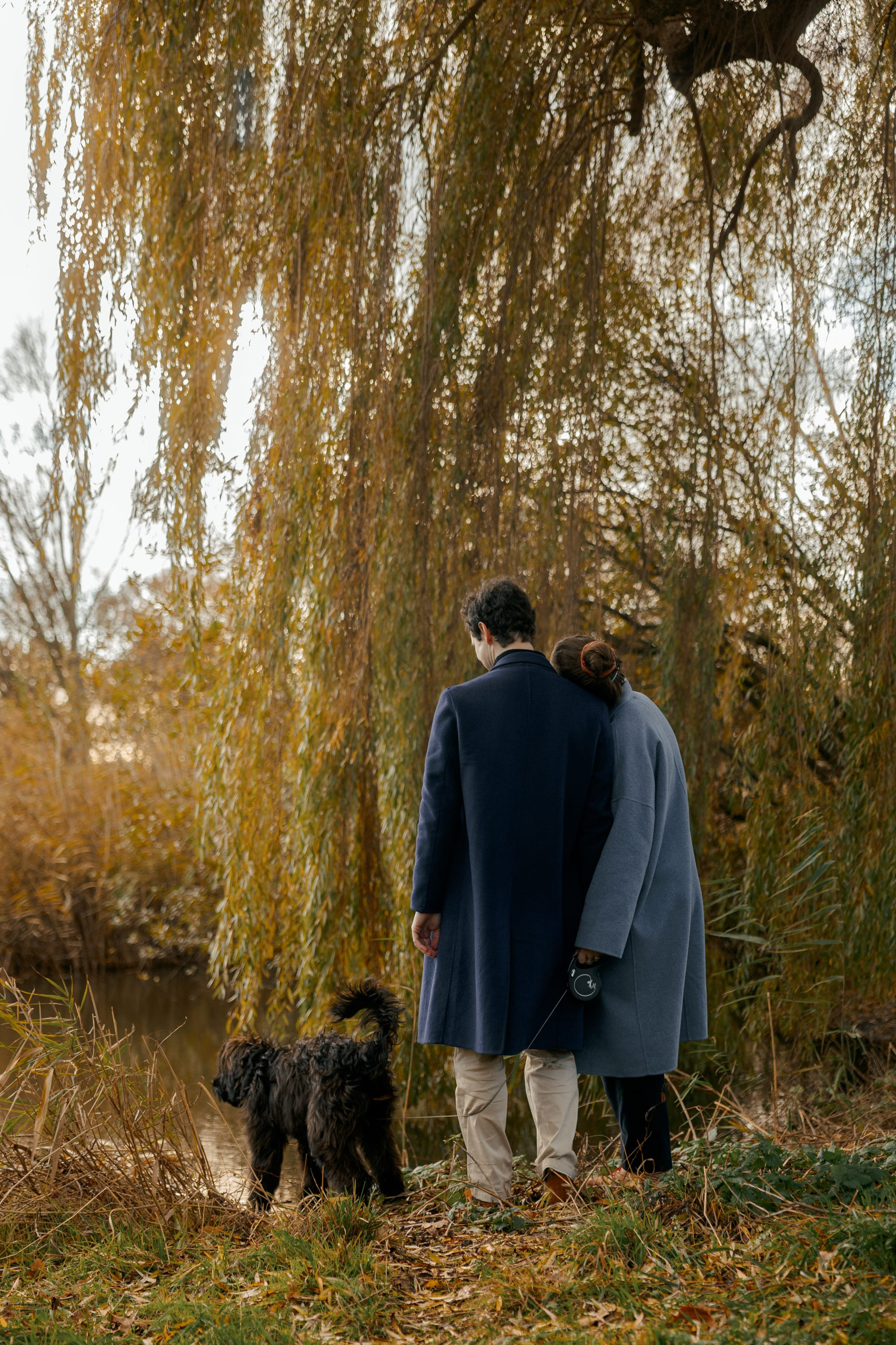 Pet Photoshoot in Spijkenisse | Rotterdam. Romantic & Soulful Photography by Natalia Olhova in Rotterdam