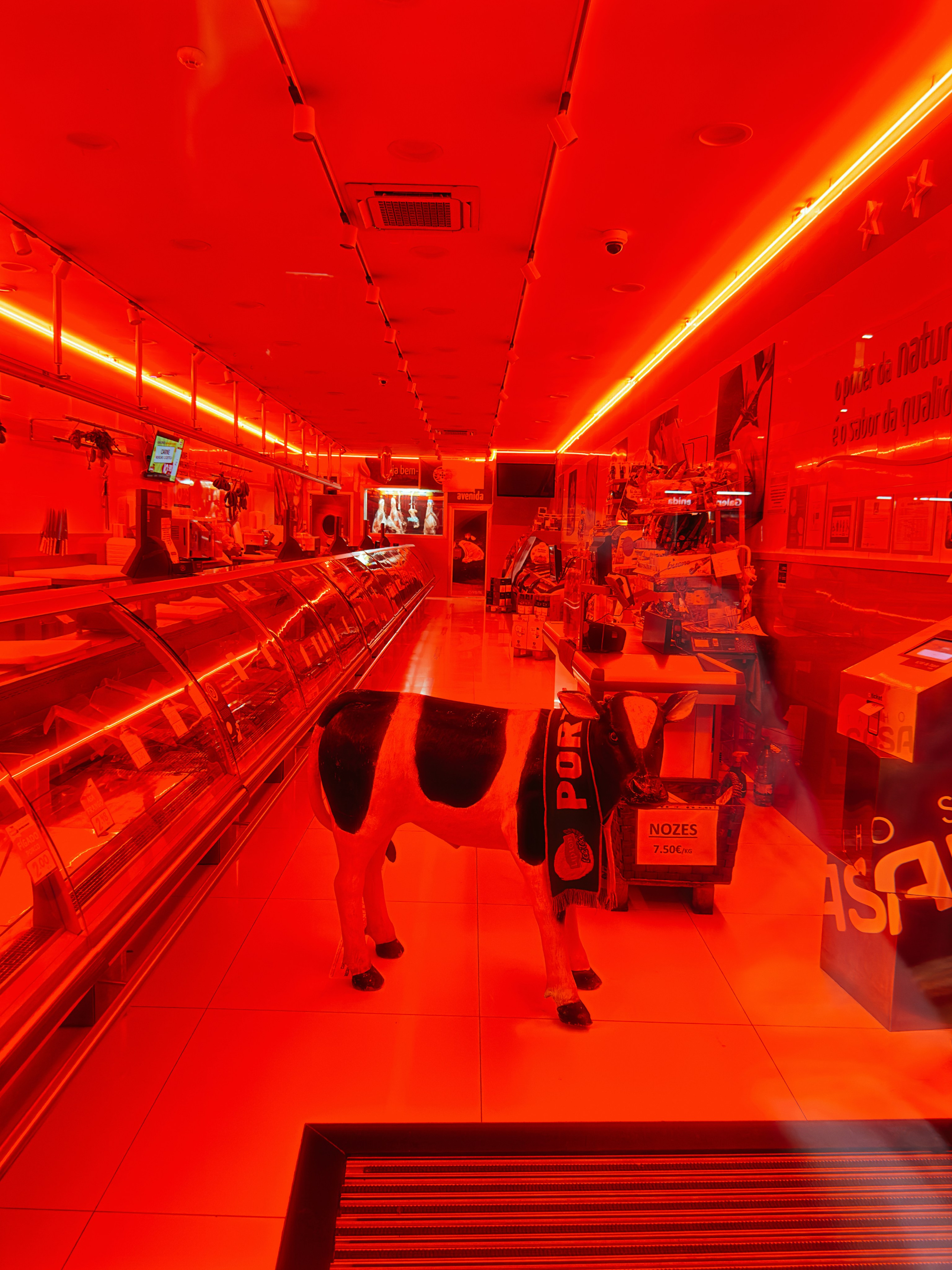 Mobilography. Artem Avanesov. Visual Content Creator