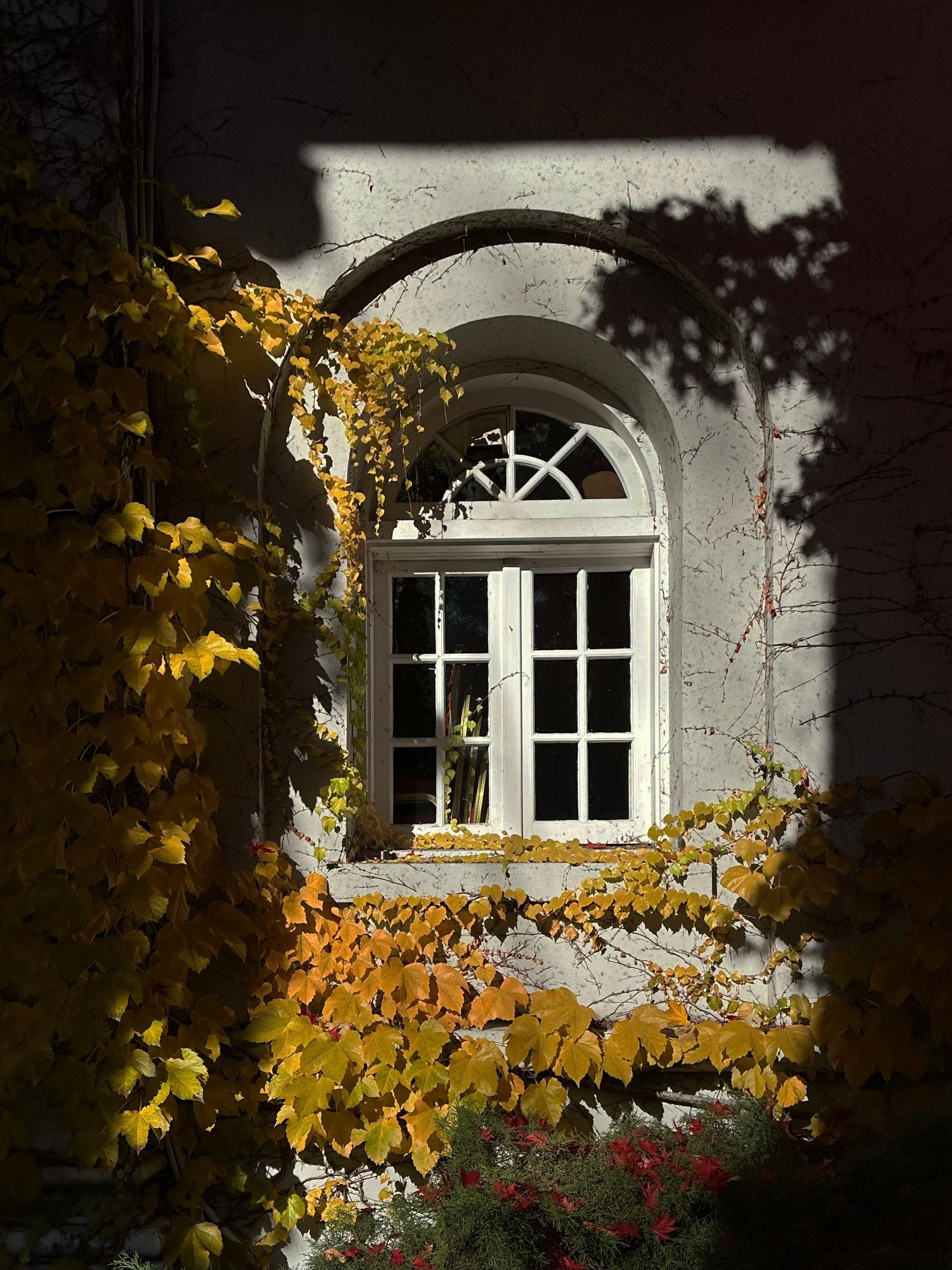 Anna & Moss magic, Content. Yana Bobrova | Artistic Photography