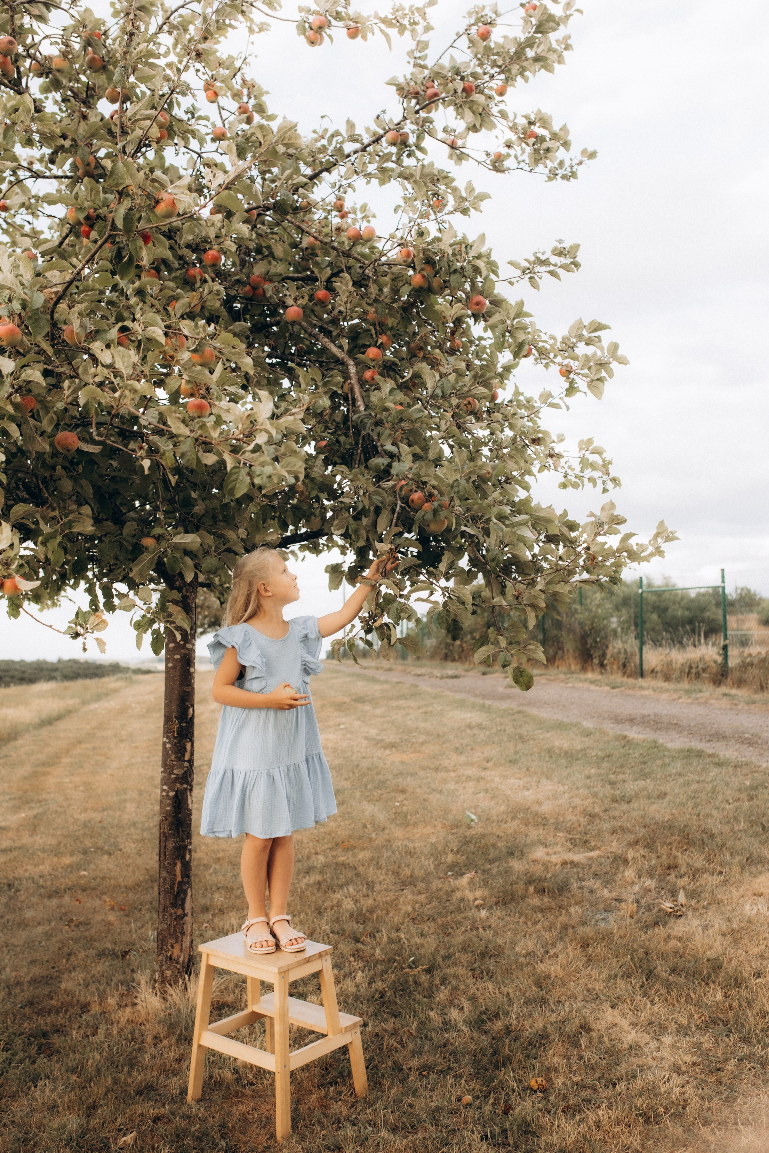Gesegnet zusammen. Julia Sööt Fotografie