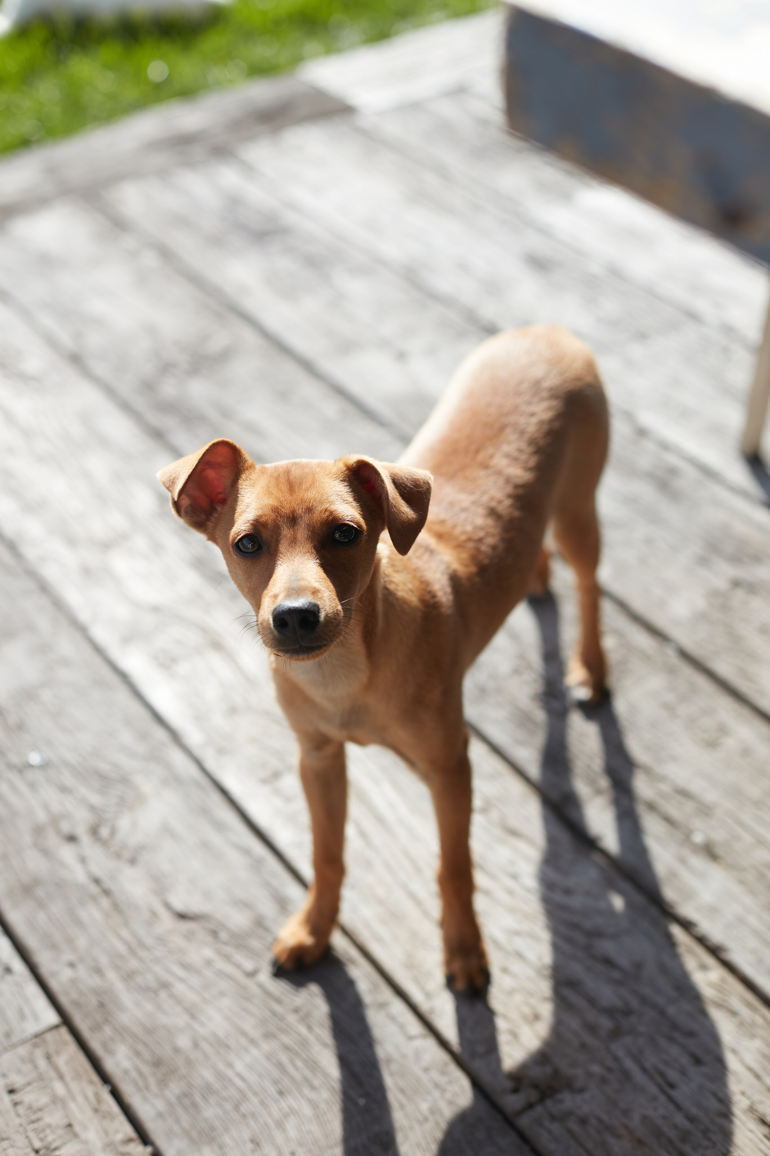 Family story in France. Amazing photo session at a time convenient for you. Y