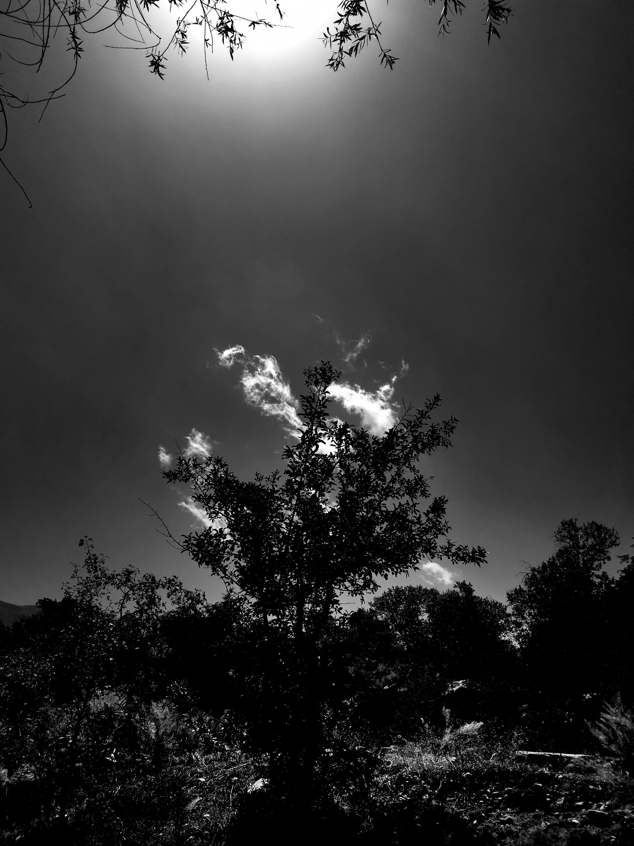 Impact Photo Collecton. Professional Artist, teacher of art, Artistic Photographer In Dubai (U