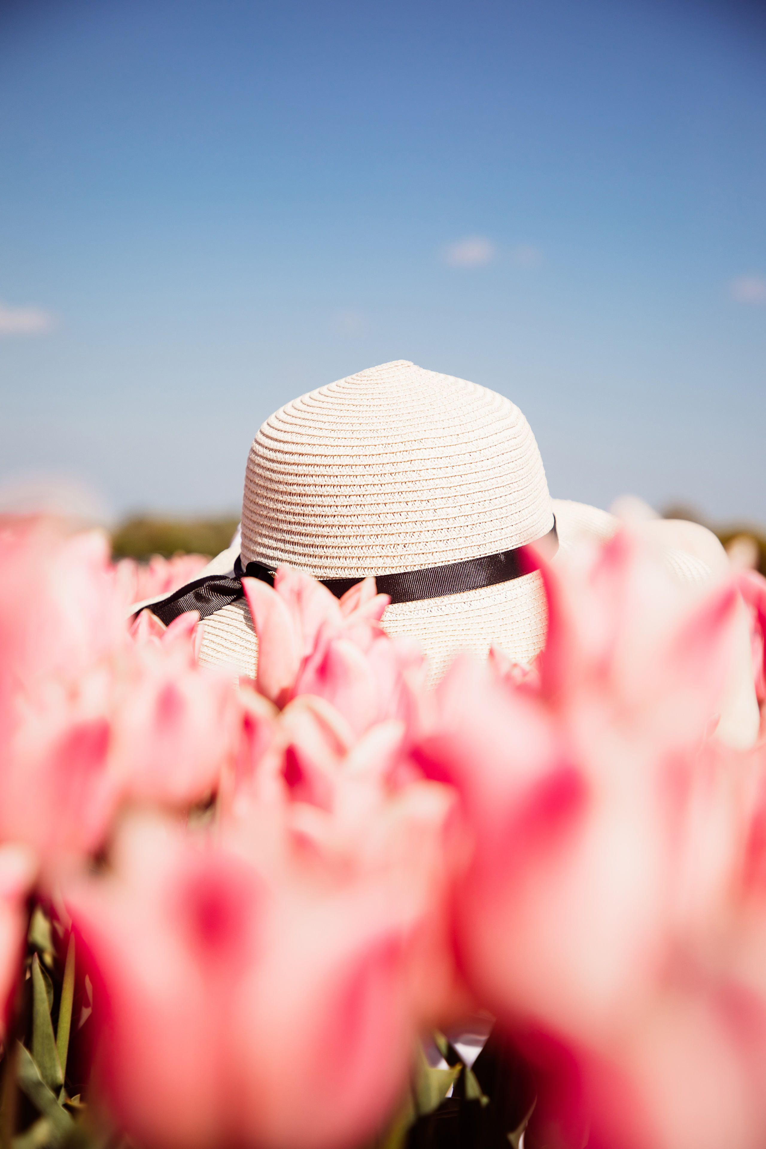 Tinker Family. PORTRAIT|FAMILY|CHILDREN|BRAND PHOTOGRAPHER UK, CAMBRIDGESHIRE