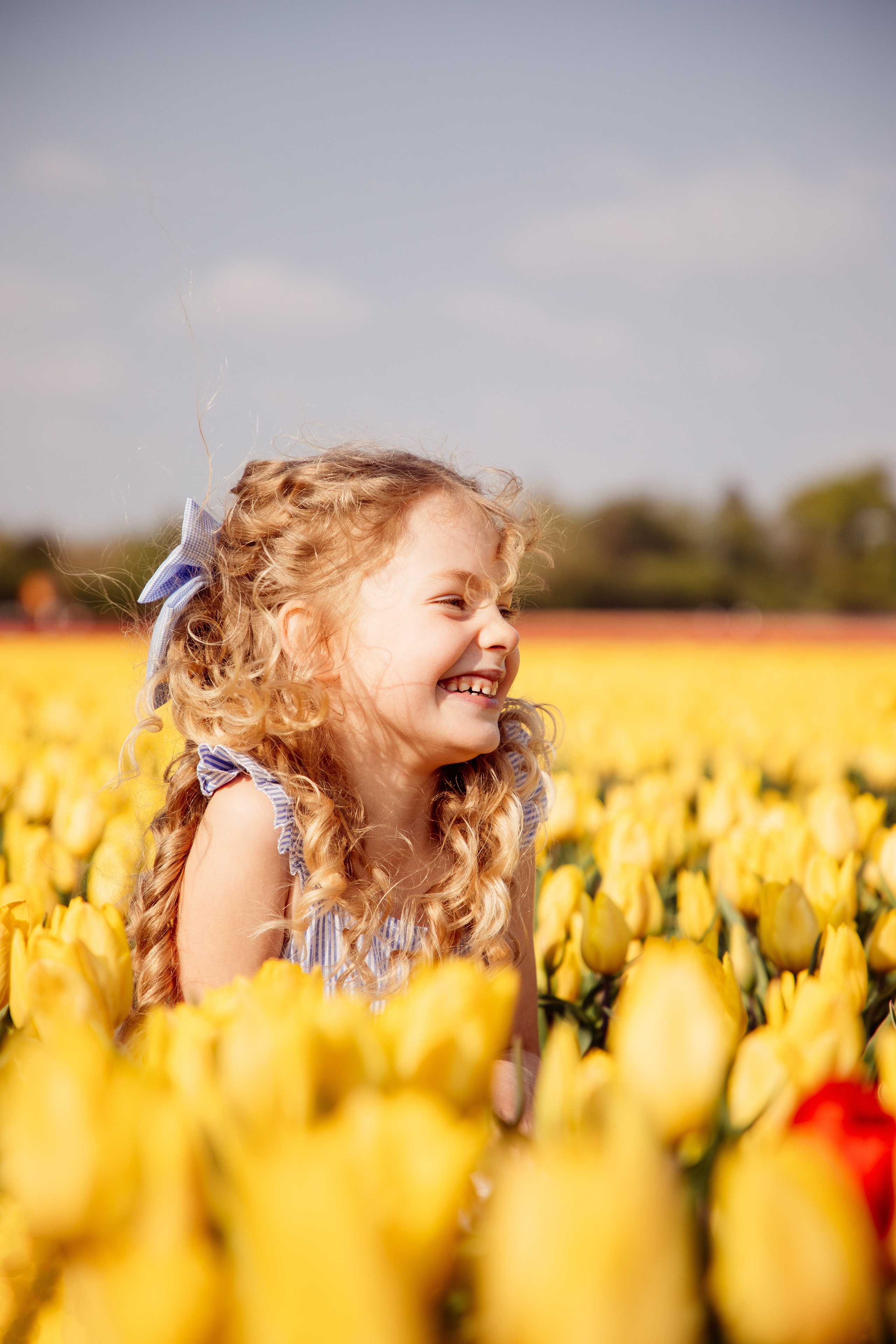 Fields of Tulips. PORTRAIT|FAMILY|CHILDREN|BRAND PHOTOGRAPHER UK, CAMBRIDGESHIRE
