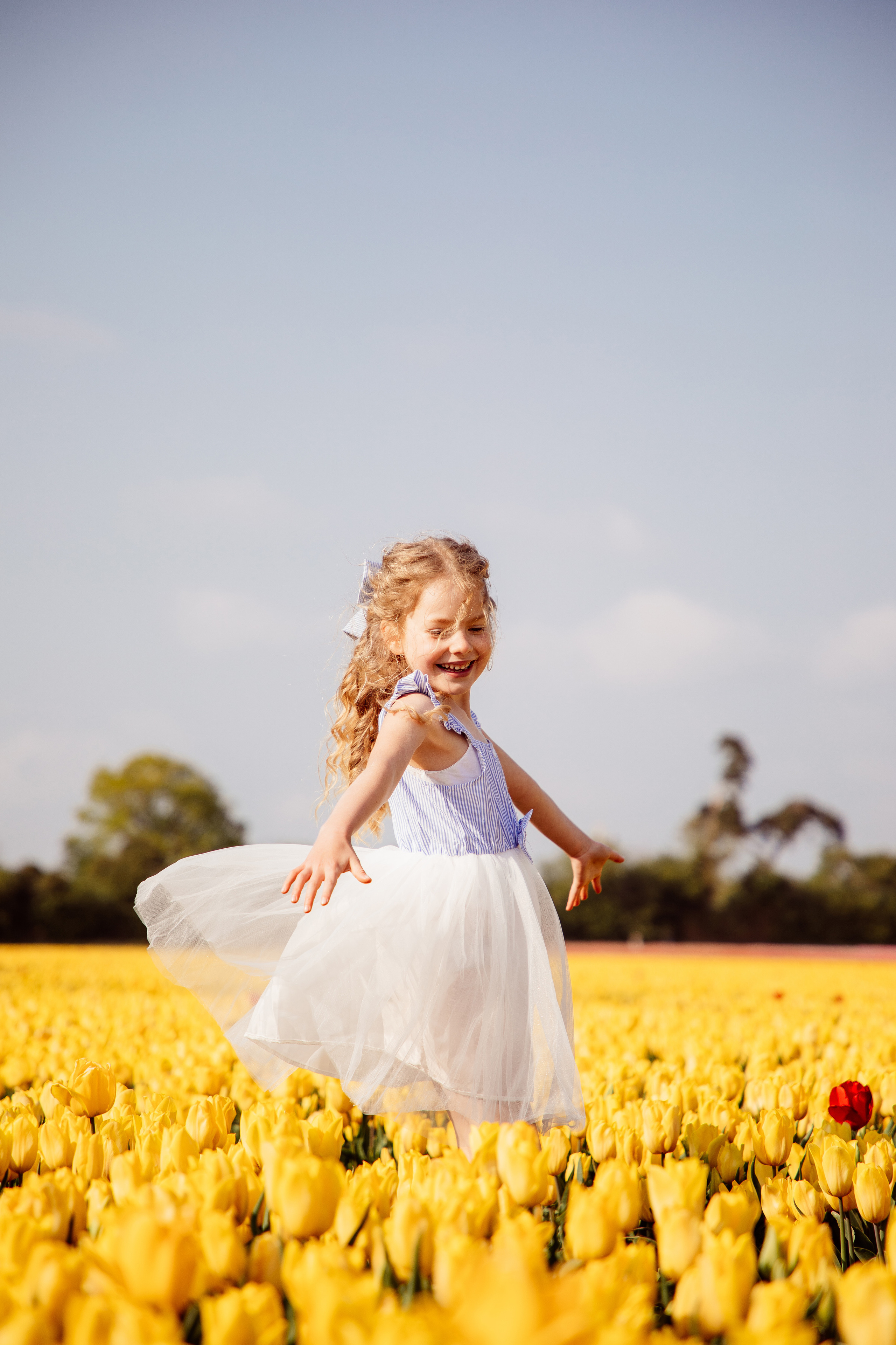 Fields of Tulips. PORTRAIT|FAMILY|CHILDREN|BRAND PHOTOGRAPHER UK, CAMBRIDGESHIRE