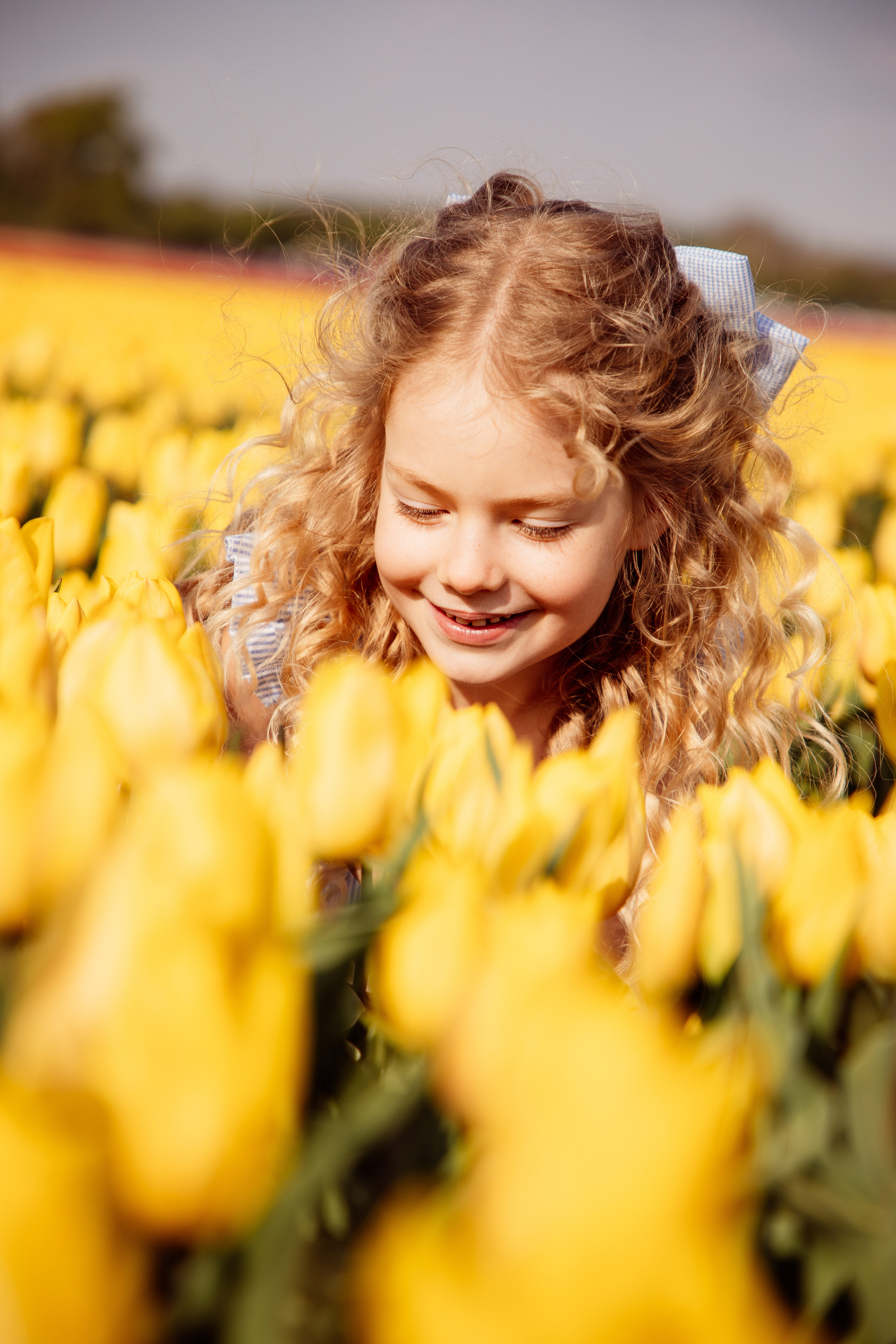 Fields of Tulips. PORTRAIT|FAMILY|CHILDREN|BRAND PHOTOGRAPHER UK, CAMBRIDGESHIRE