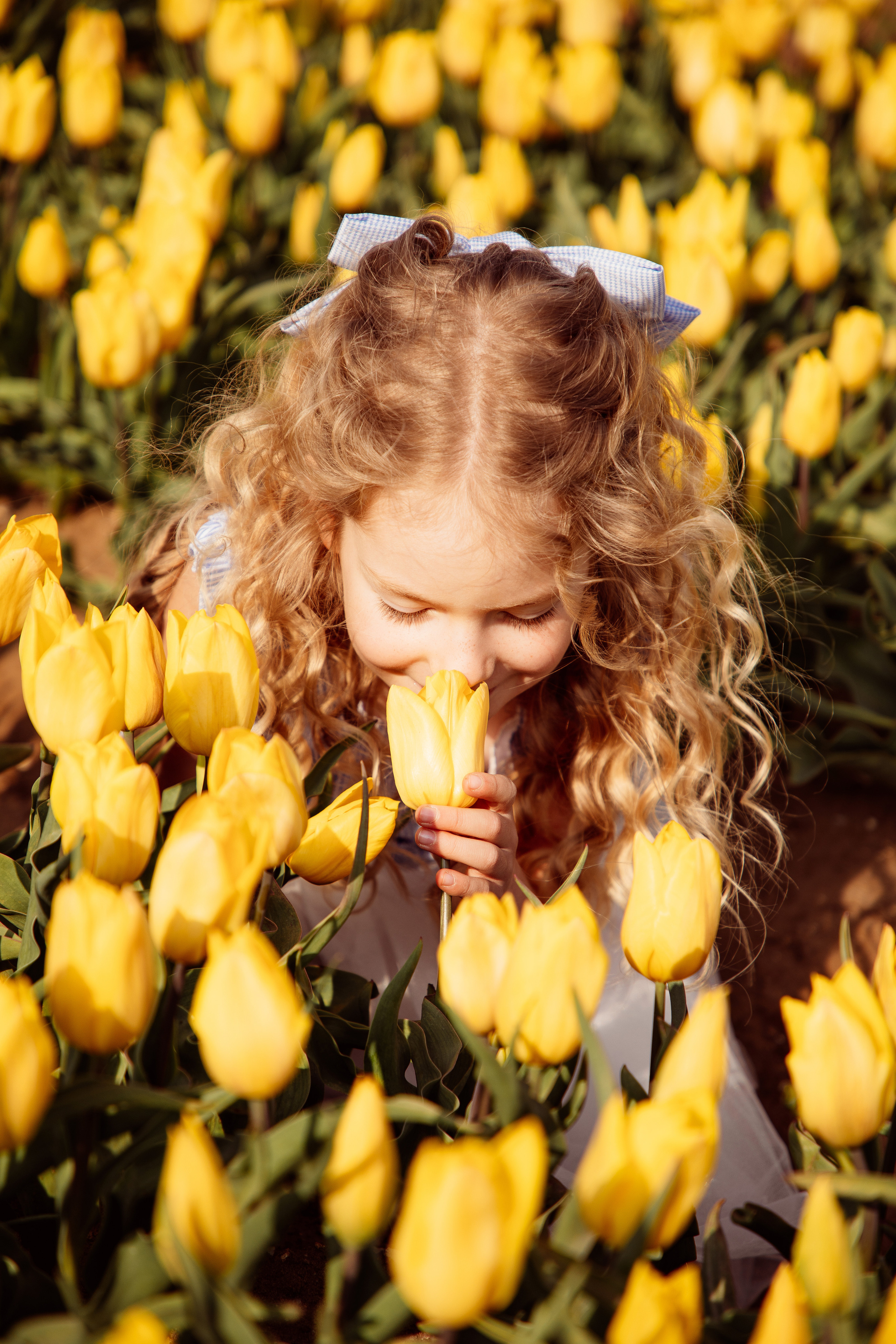 Fields of Tulips. PORTRAIT|FAMILY|CHILDREN|BRAND PHOTOGRAPHER UK, CAMBRIDGESHIRE