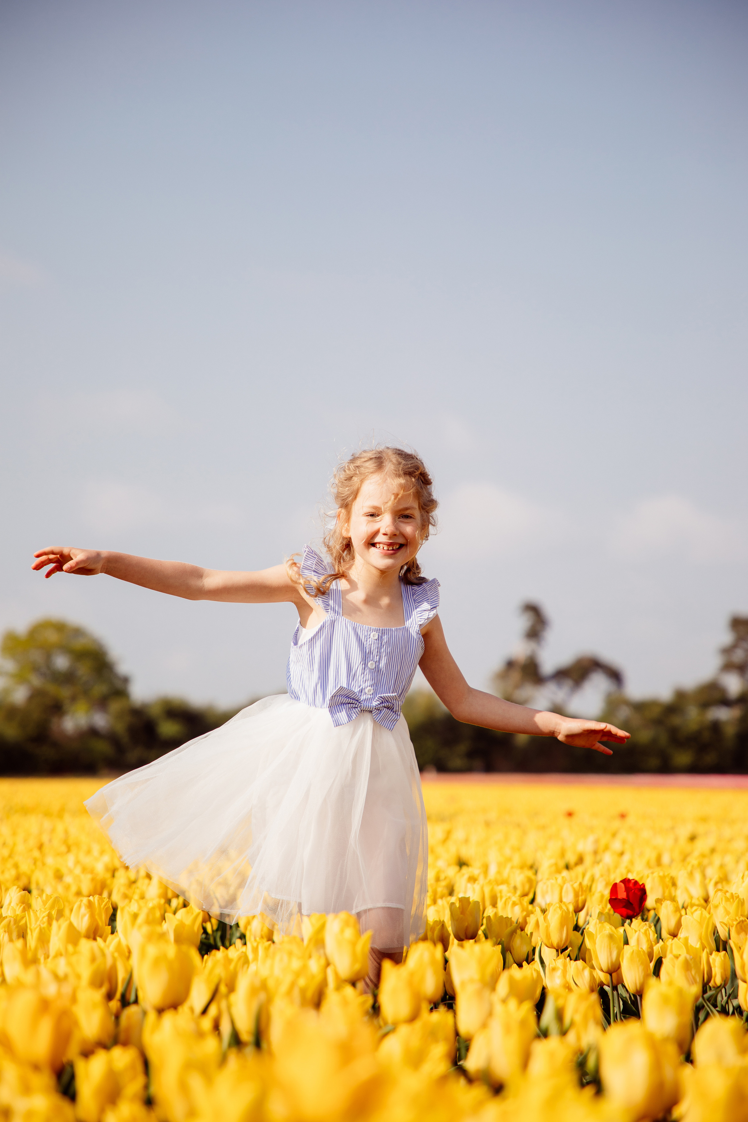Fields of Tulips. PORTRAIT|FAMILY|CHILDREN|BRAND PHOTOGRAPHER UK, CAMBRIDGESHIRE