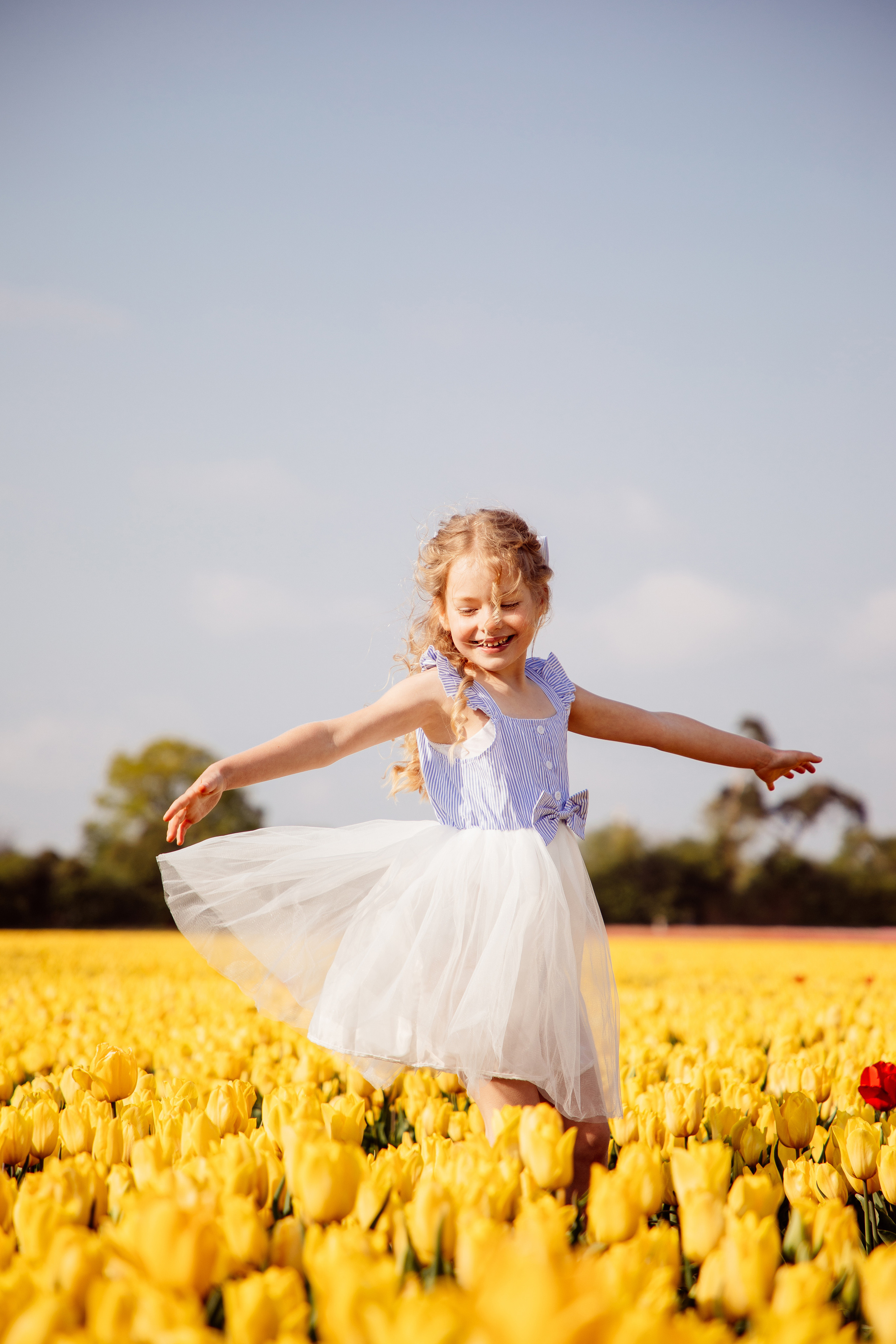 Fields of Tulips. PORTRAIT|FAMILY|CHILDREN|BRAND PHOTOGRAPHER UK, CAMBRIDGESHIRE