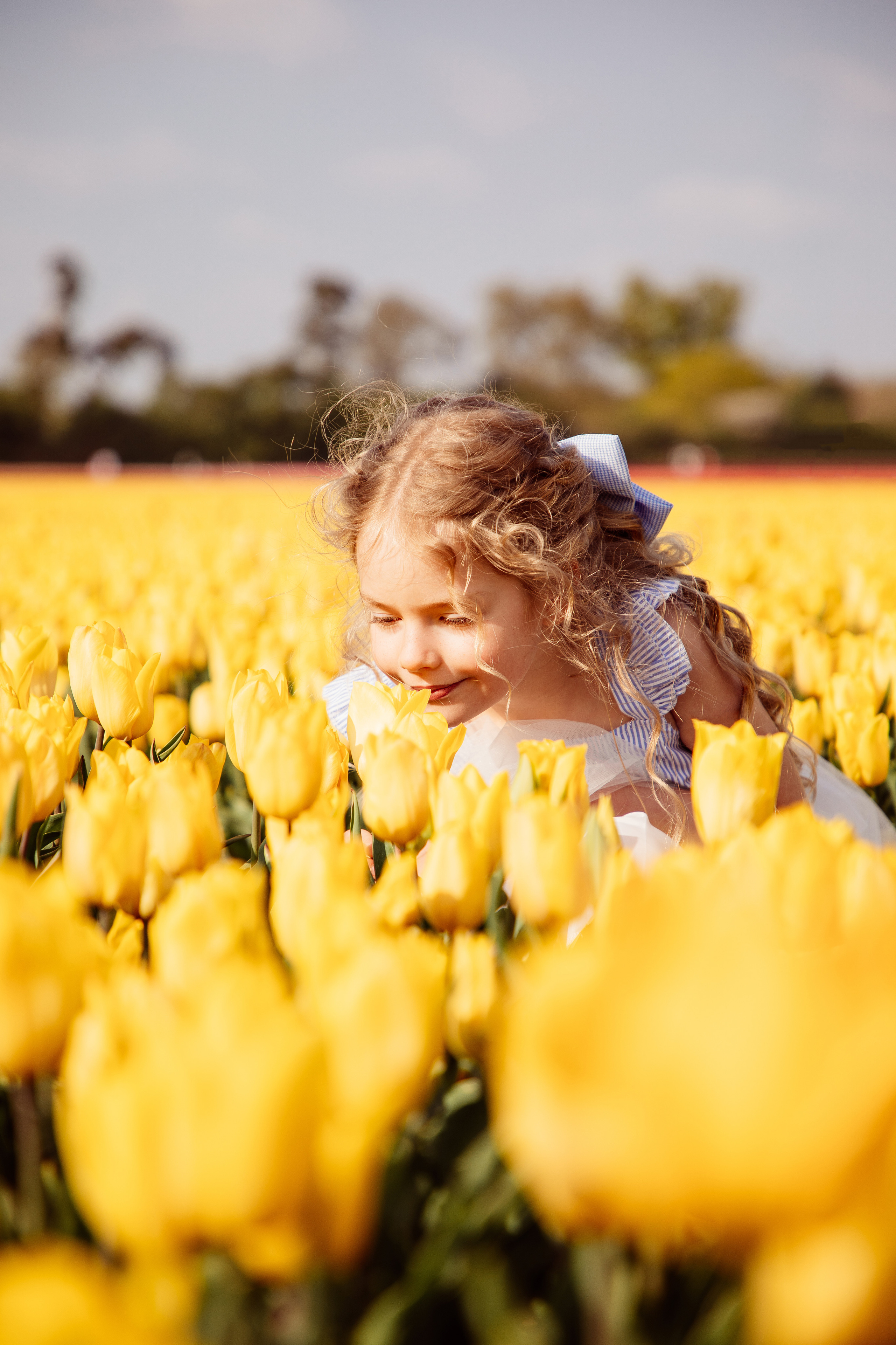 Fields of Tulips. PORTRAIT|FAMILY|CHILDREN|BRAND PHOTOGRAPHER UK, CAMBRIDGESHIRE