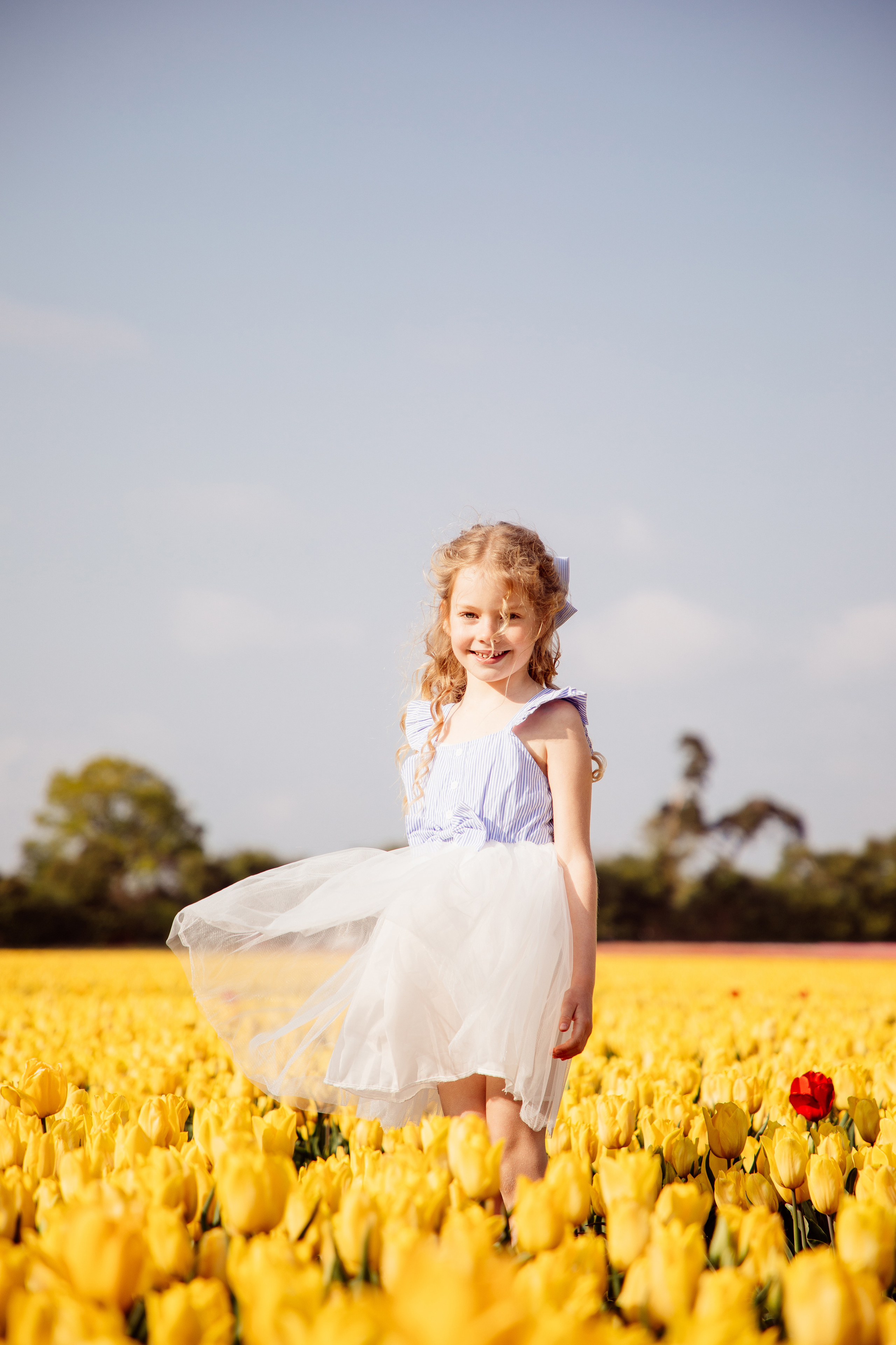 Fields of Tulips. PORTRAIT|FAMILY|CHILDREN|BRAND PHOTOGRAPHER UK, CAMBRIDGESHIRE
