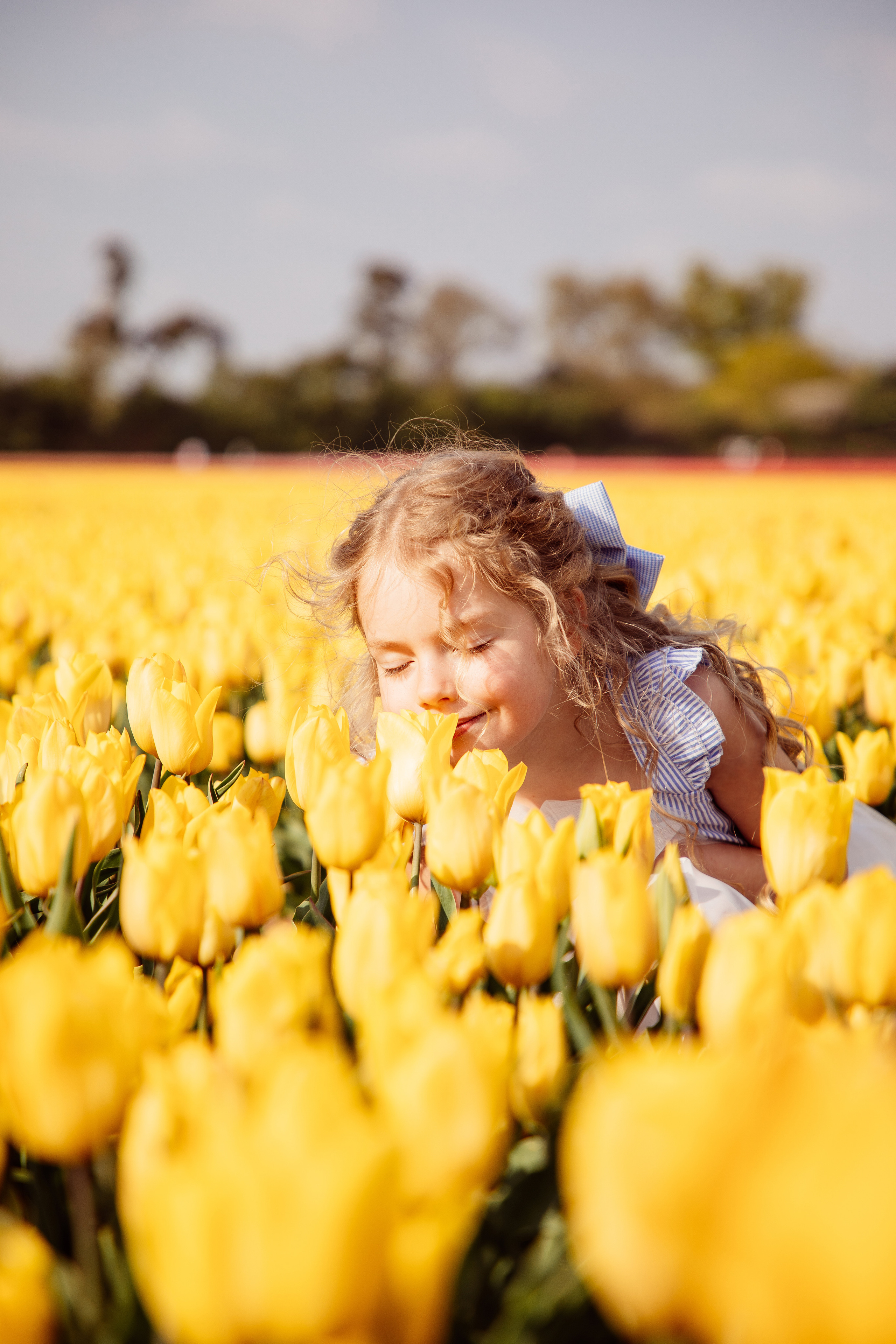 Fields of Tulips. PORTRAIT|FAMILY|CHILDREN|BRAND PHOTOGRAPHER UK, CAMBRIDGESHIRE