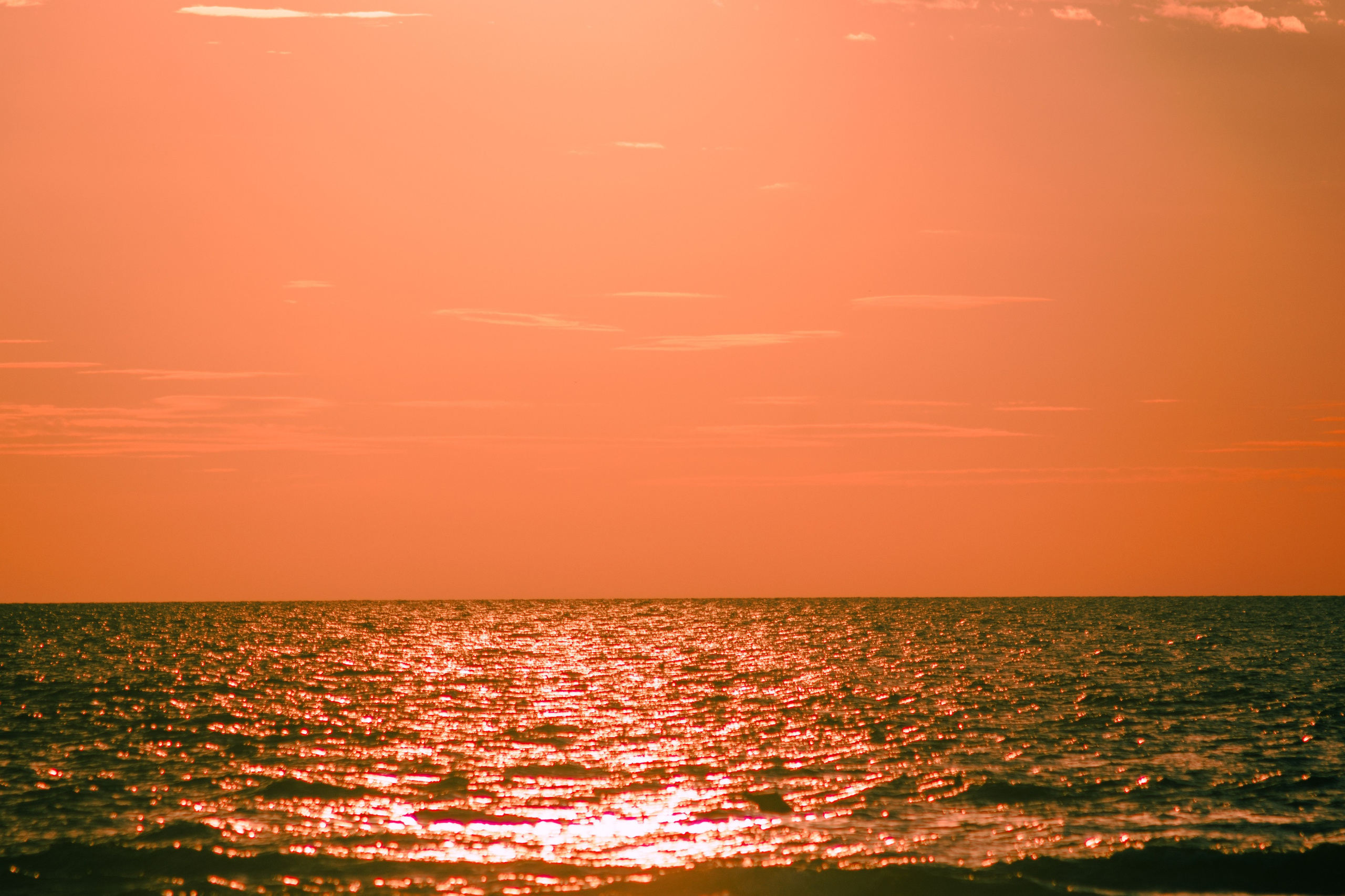 Landscape. Portrait and Street photographer in Vilnius Edgar Shaipunas