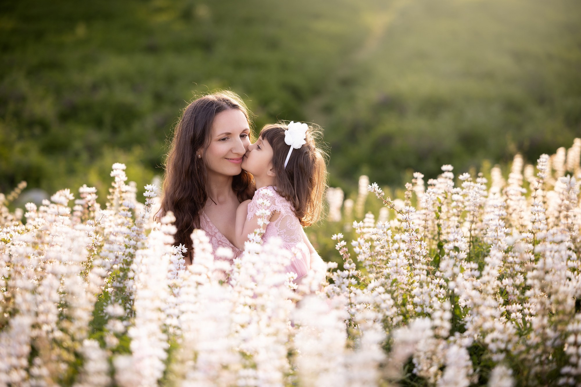 Lupines Story. Photographer is San Jose, Iryna Novosyolova