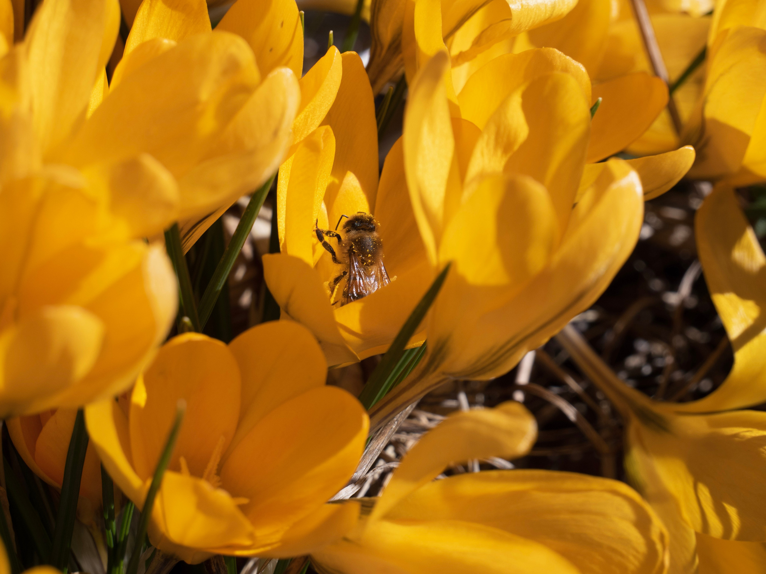 Portfolio. Photographer in Sotenäs municipality. Fotograf i Sotenäs kommun