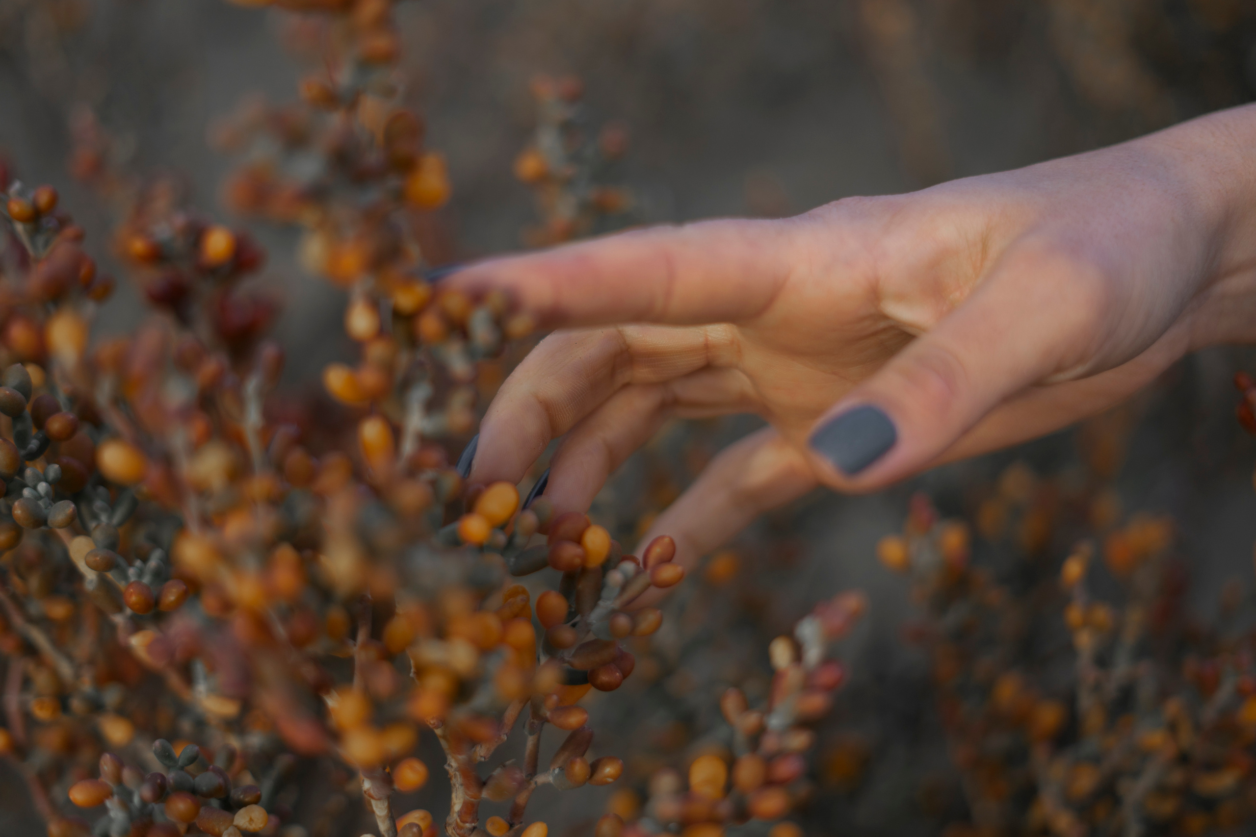 Oksana. Ваш Фотограф на Кипре, Нино Келесиду