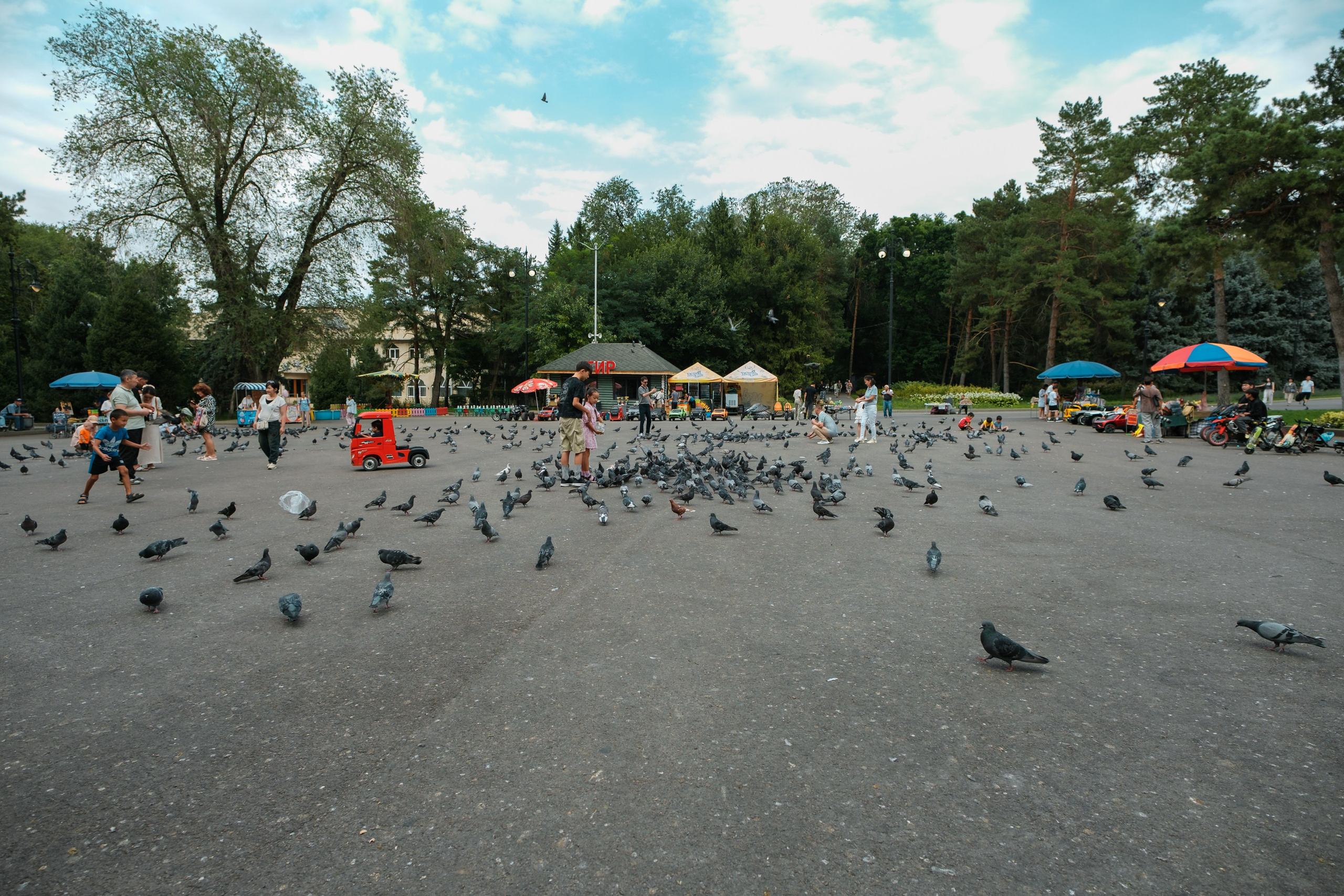 Sigma 12 mm F/1.4 DC DN Contemporary. Фотограф Григорий Кравец