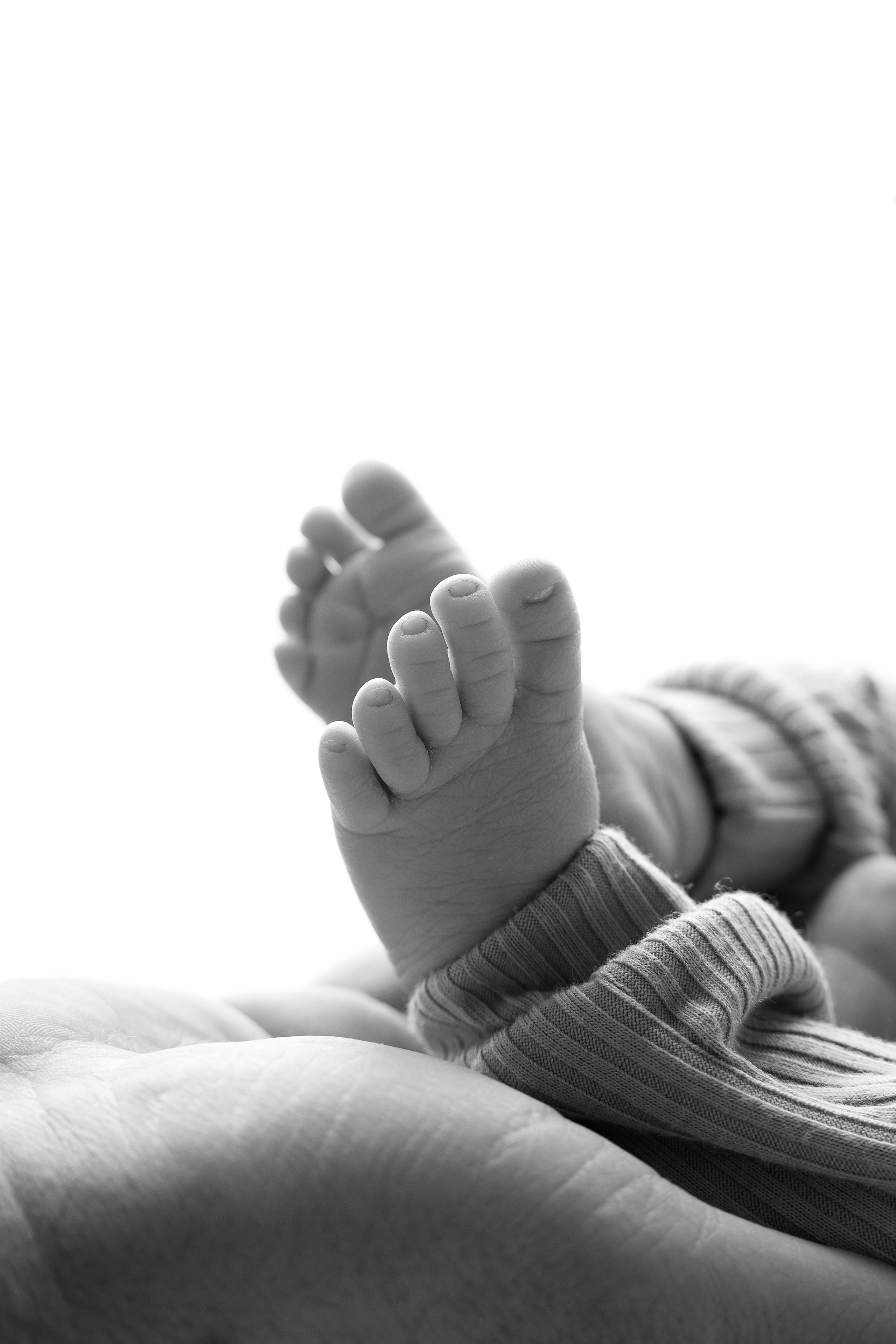 Newborn. Maria Langlitz Photography