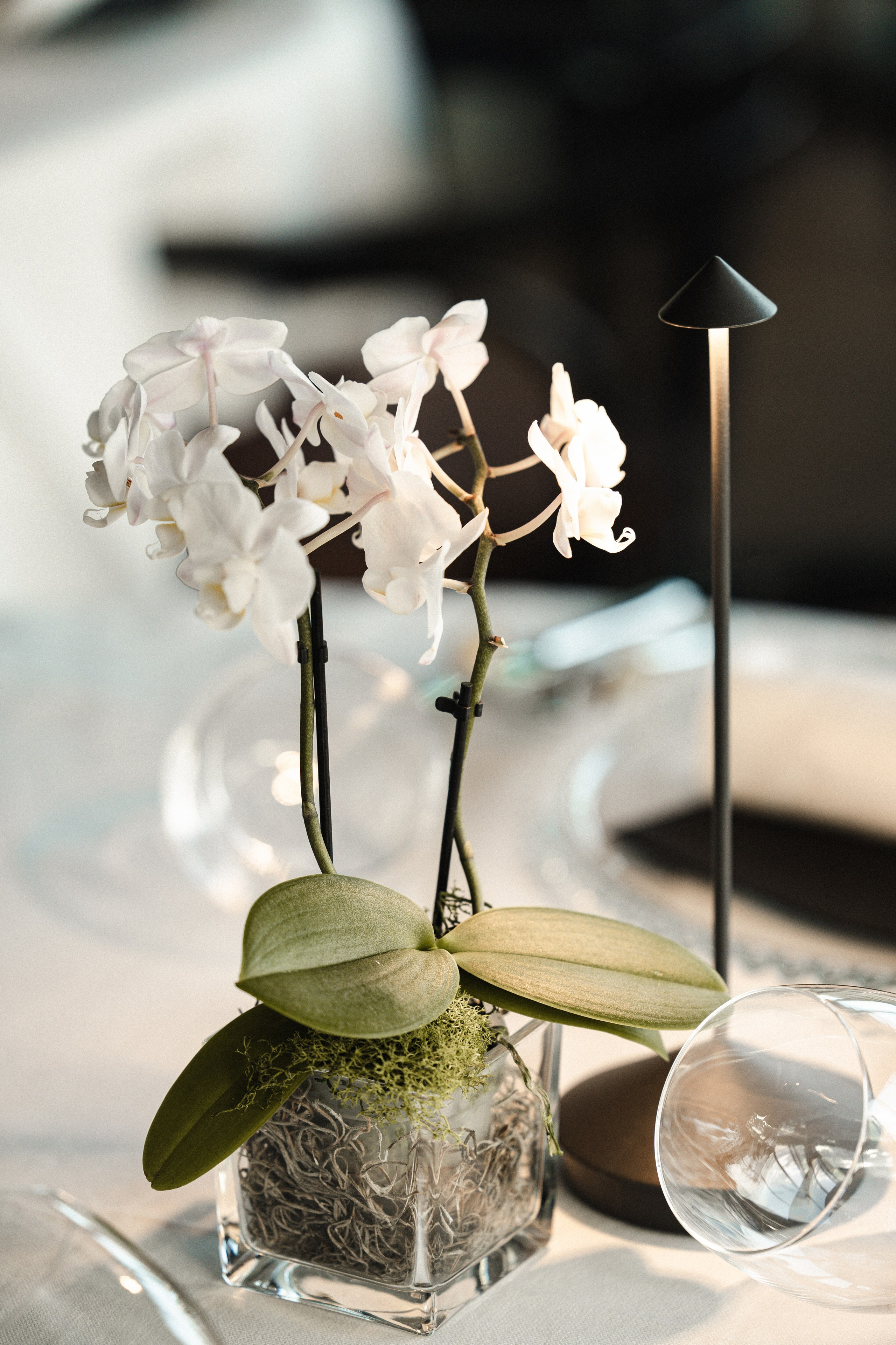 Garda, Italy. Wedding Photographer Tel-Aviv