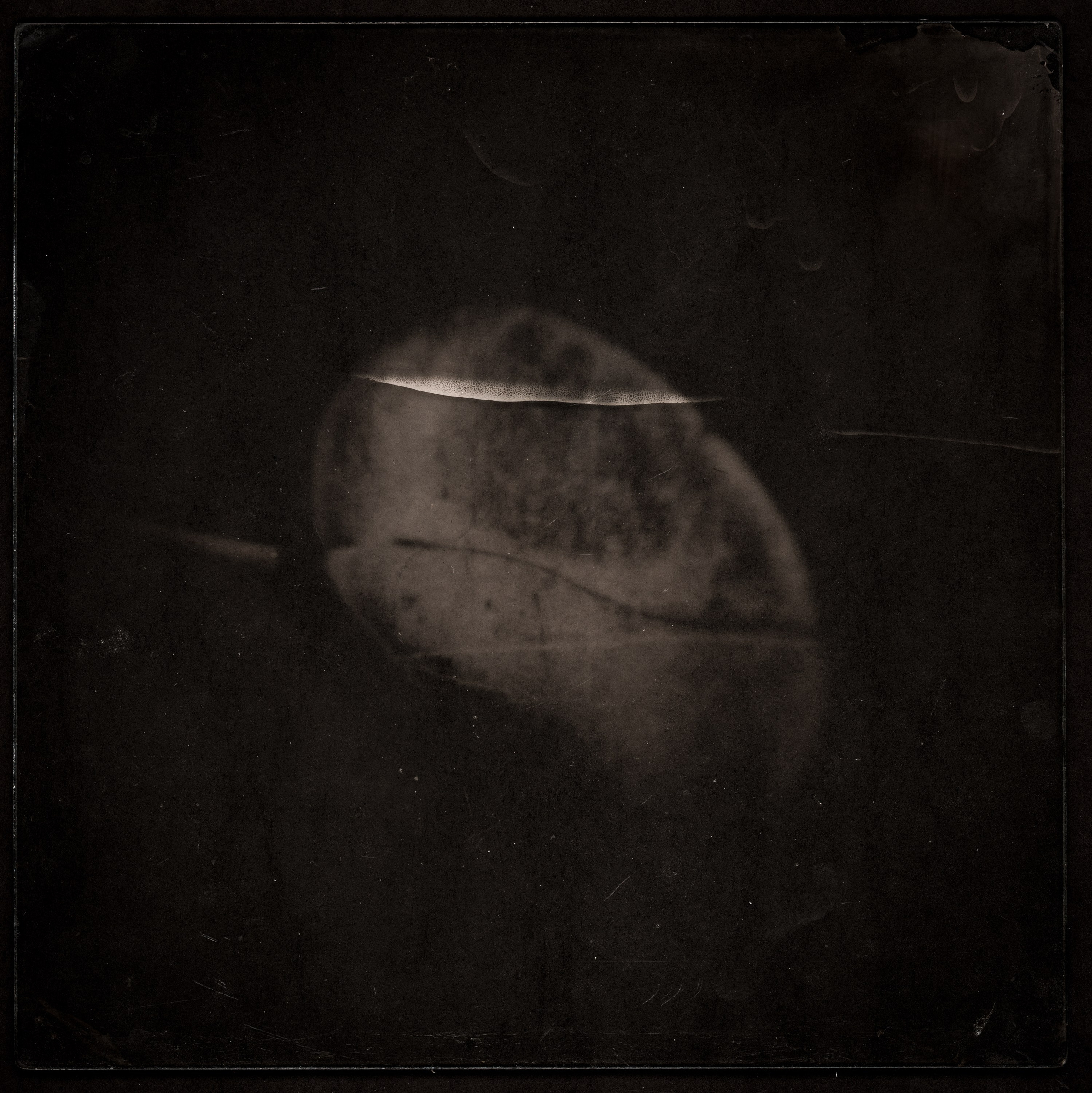 APPARITIONE. Adriano Escanhuela — Experimental