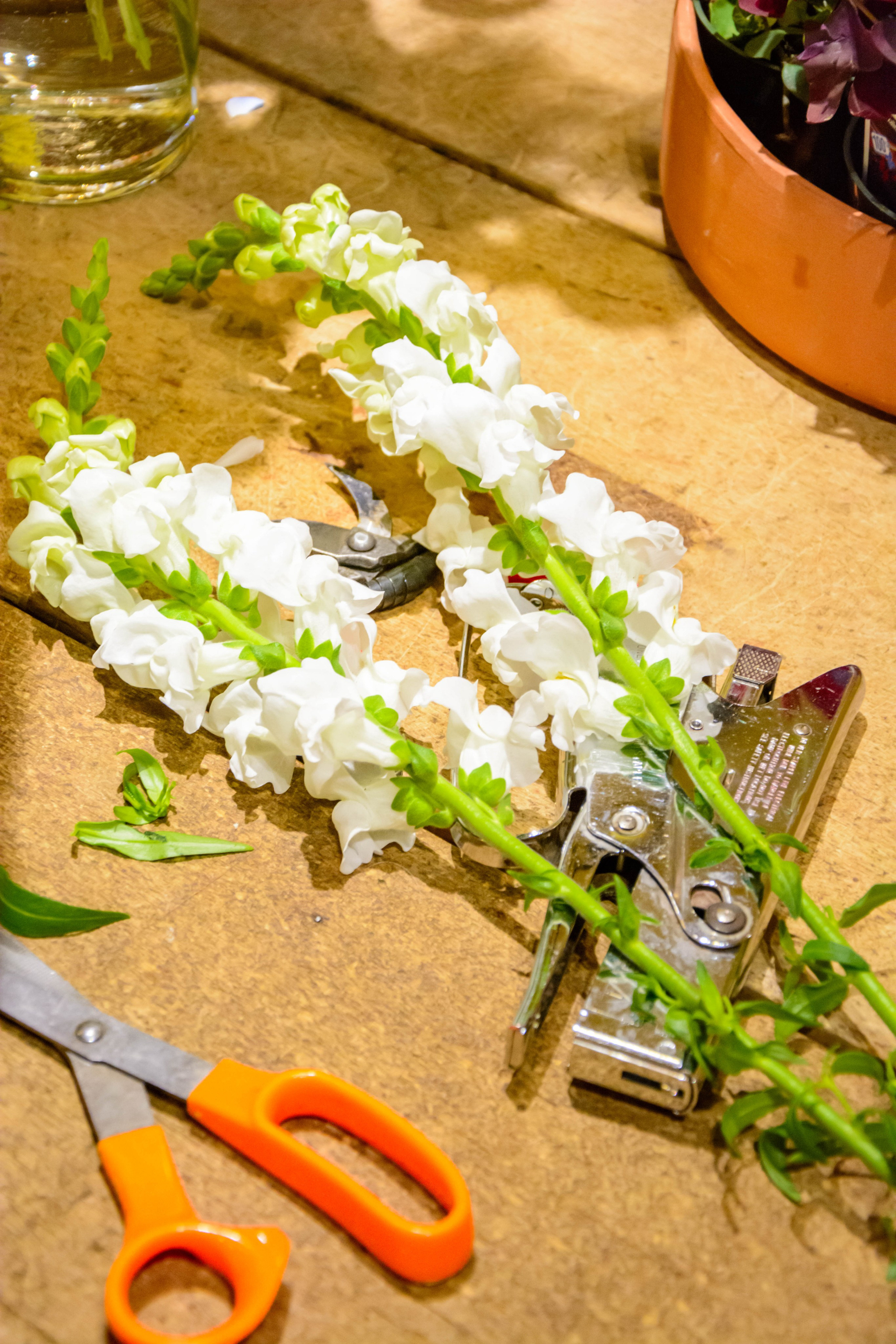 Photographer Ottawa,Branding photo shoot,Small business Photo session. Photographer Ottawa Jane Krasnopolska