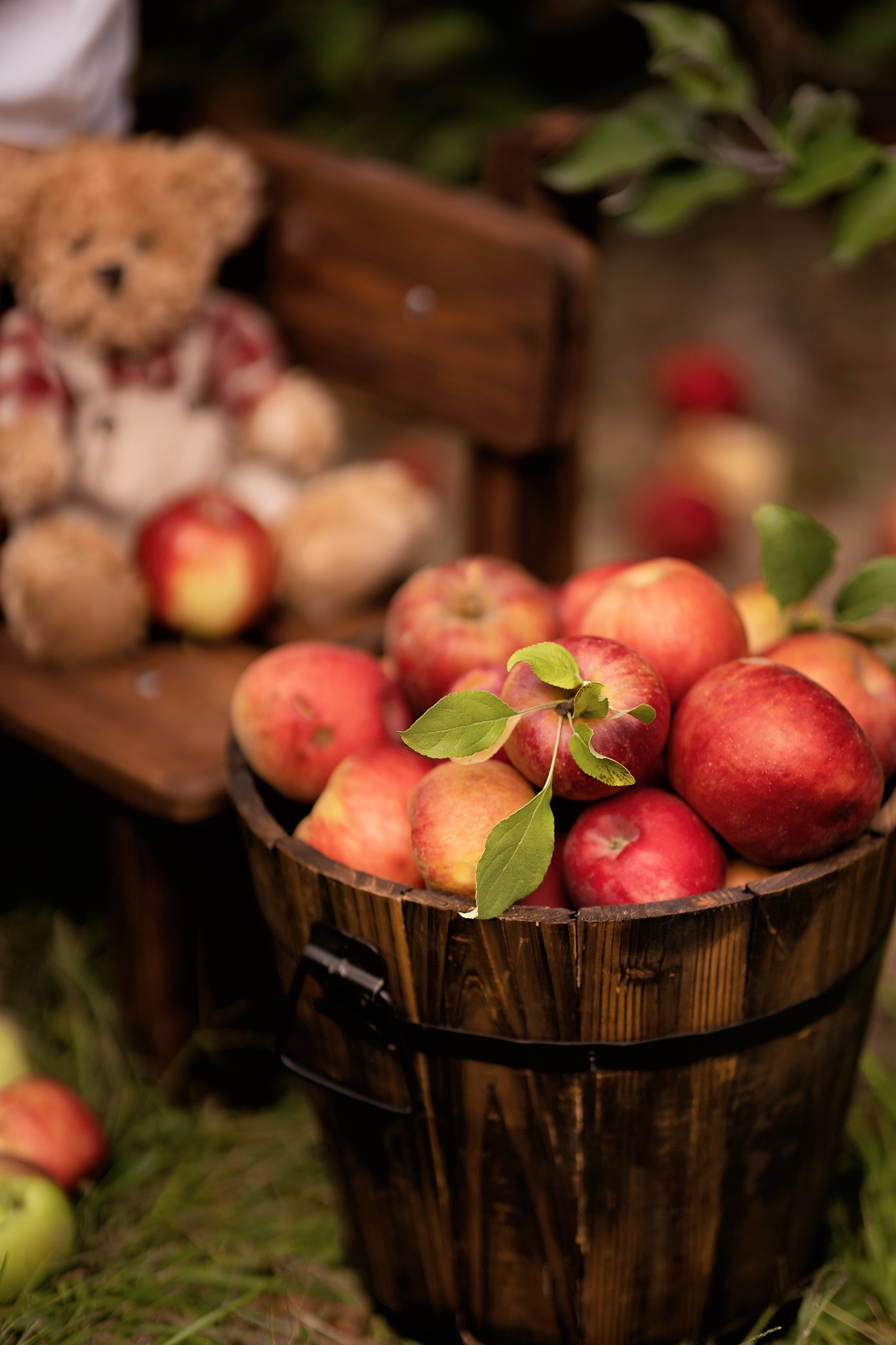 Autumn. Professional photographer in NYC Kristina Bagdasaryan