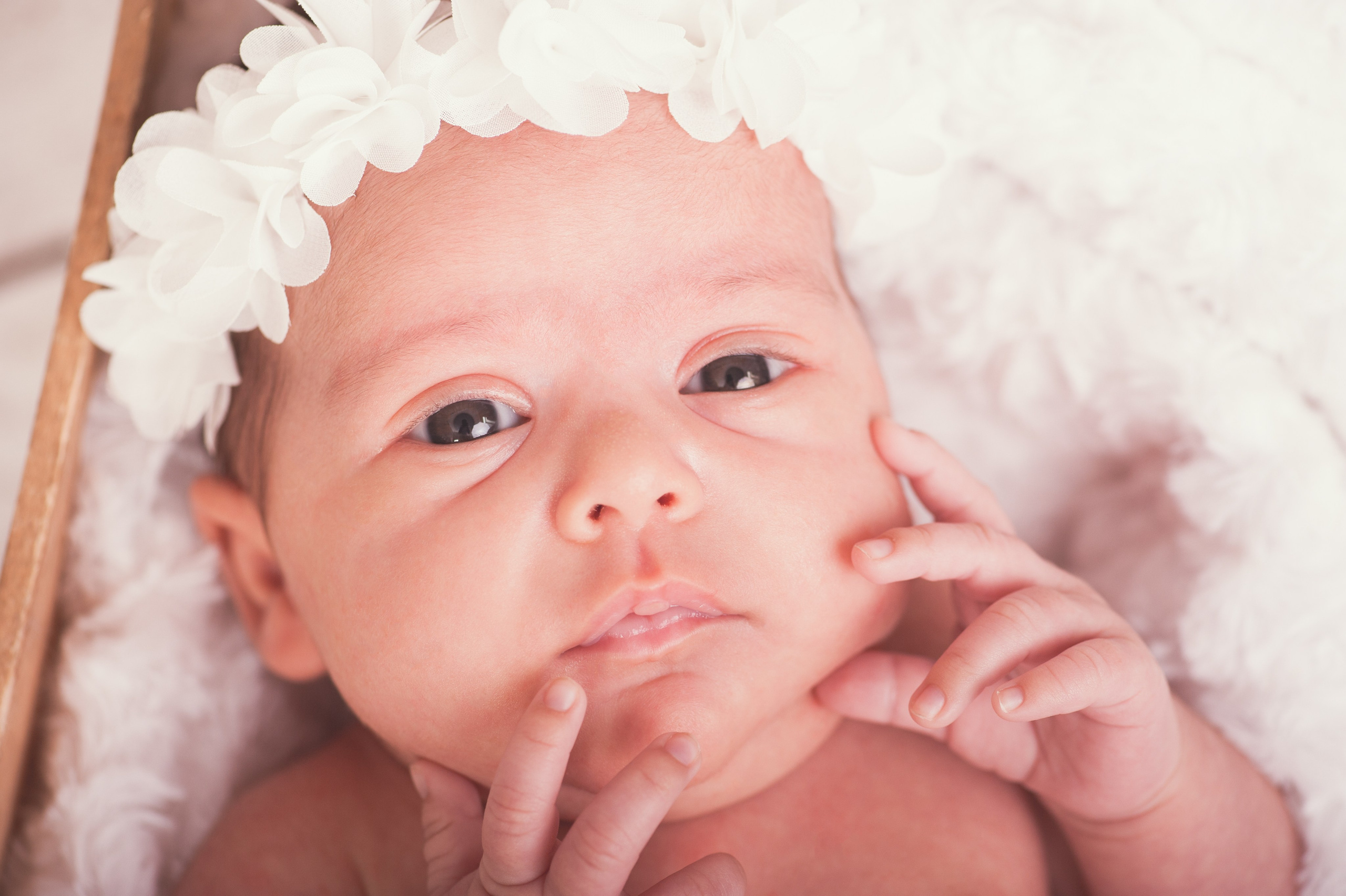 Botez și Familie. Fotograf de Nunta