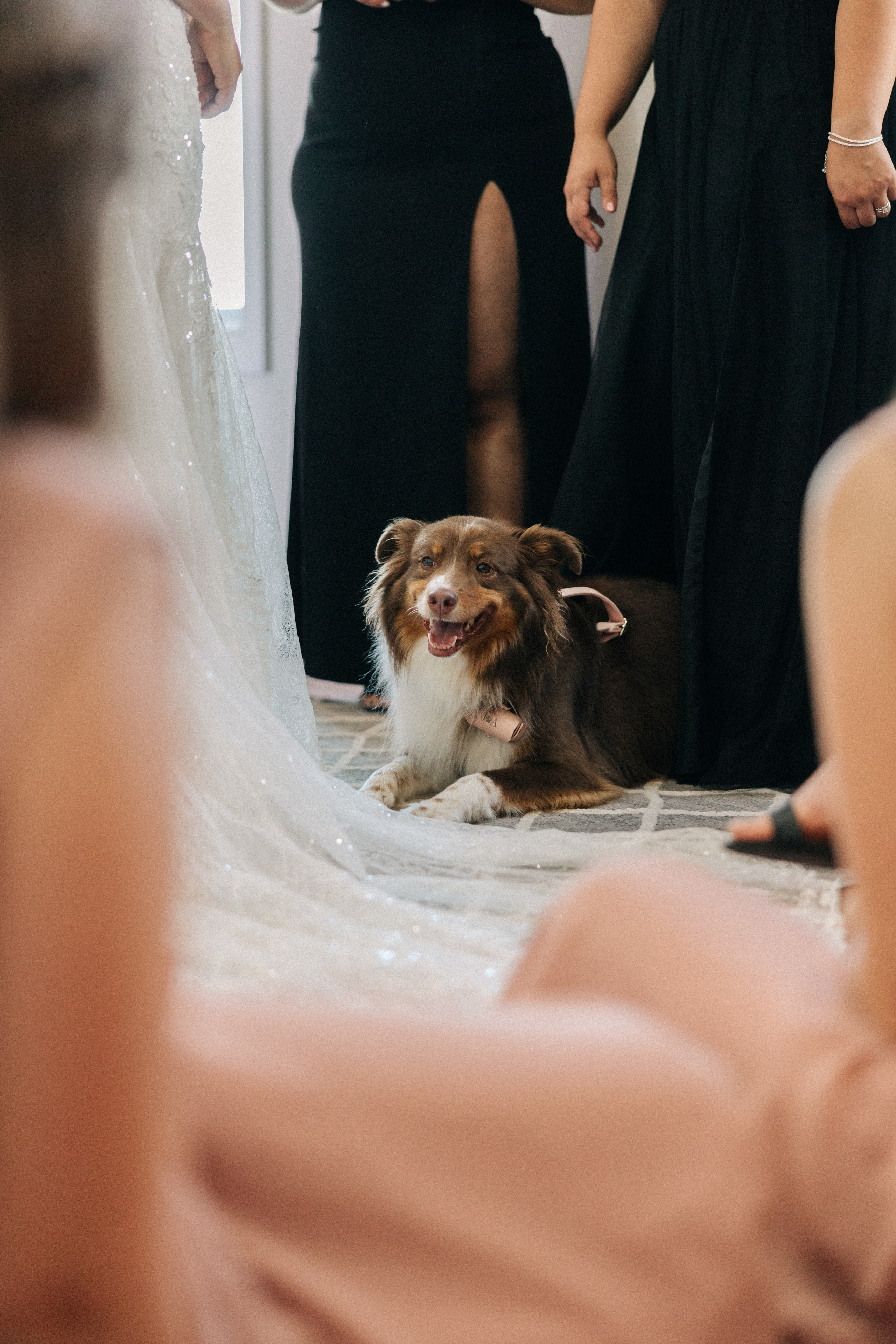 Wedding Julia&Aaron. Sara Eulalia | Virginia Photographer