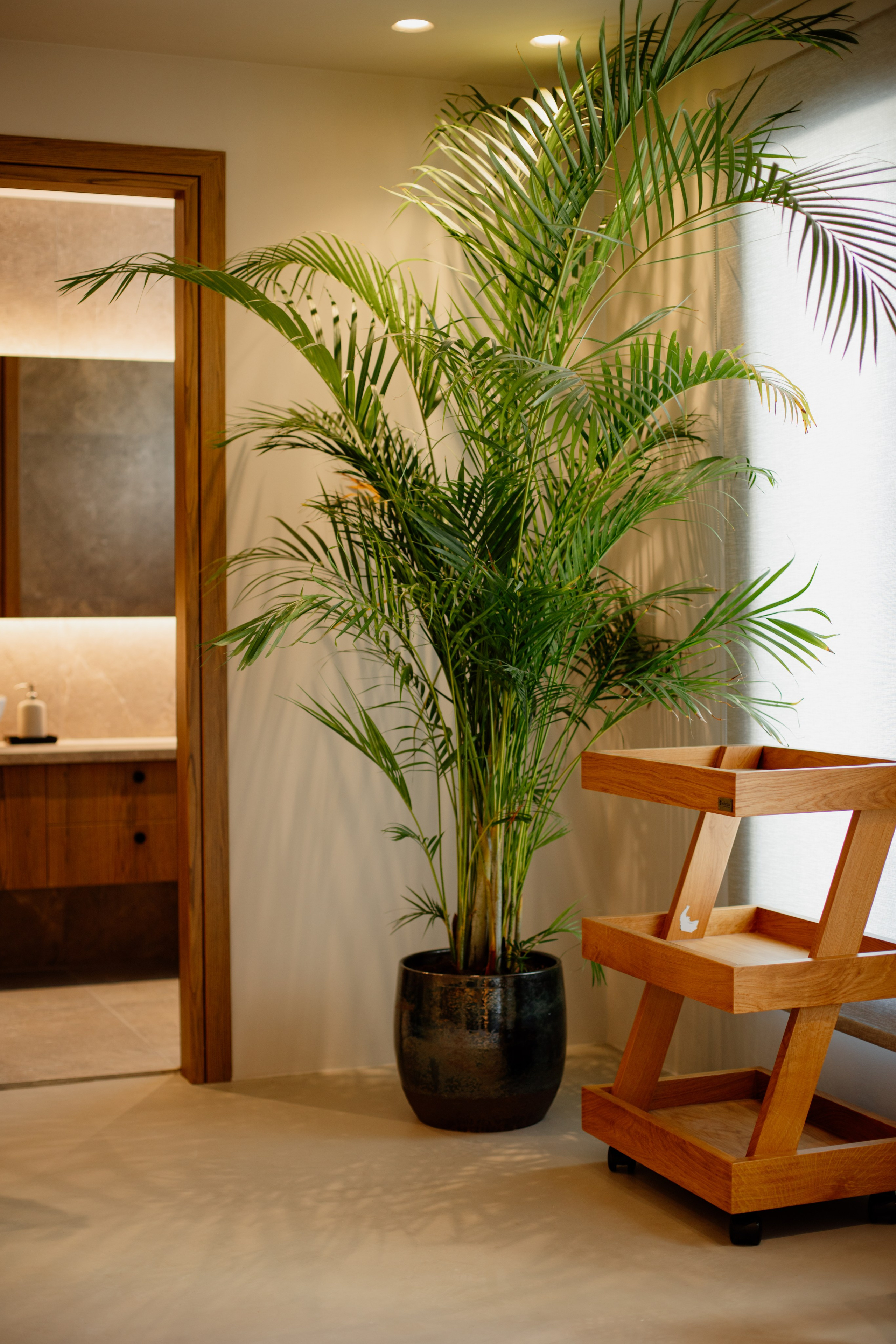 Zensation Spa. Family and business portrait’s photographer in Cyprus