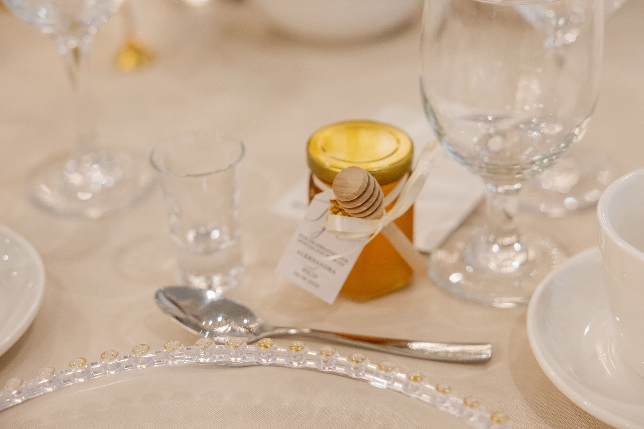 09.06.2025 Wedding. Wedding family event photographer in Chicago Nick Yushevich