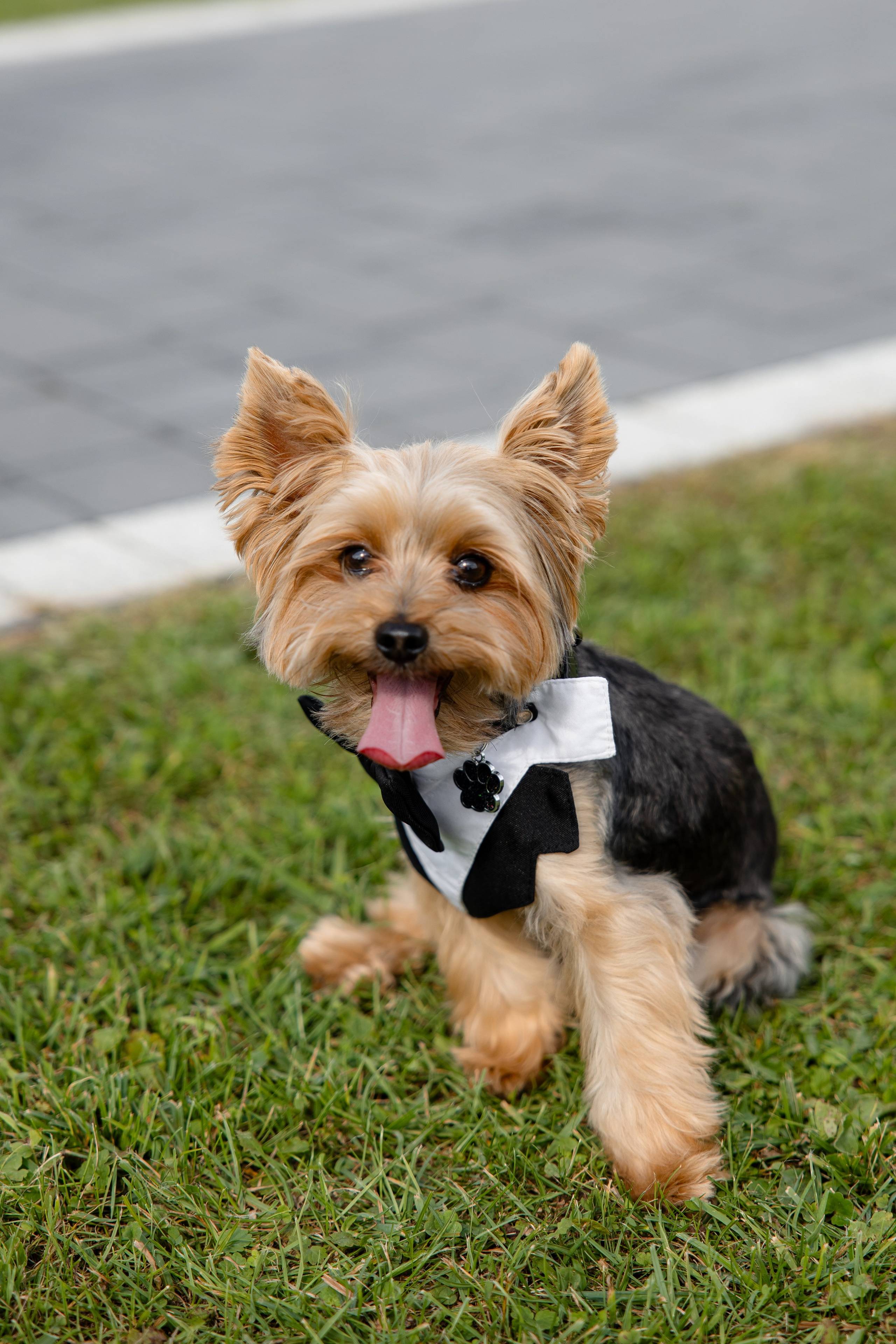Артур + Анастасія. Весільний, сімейний фотограф Варшава