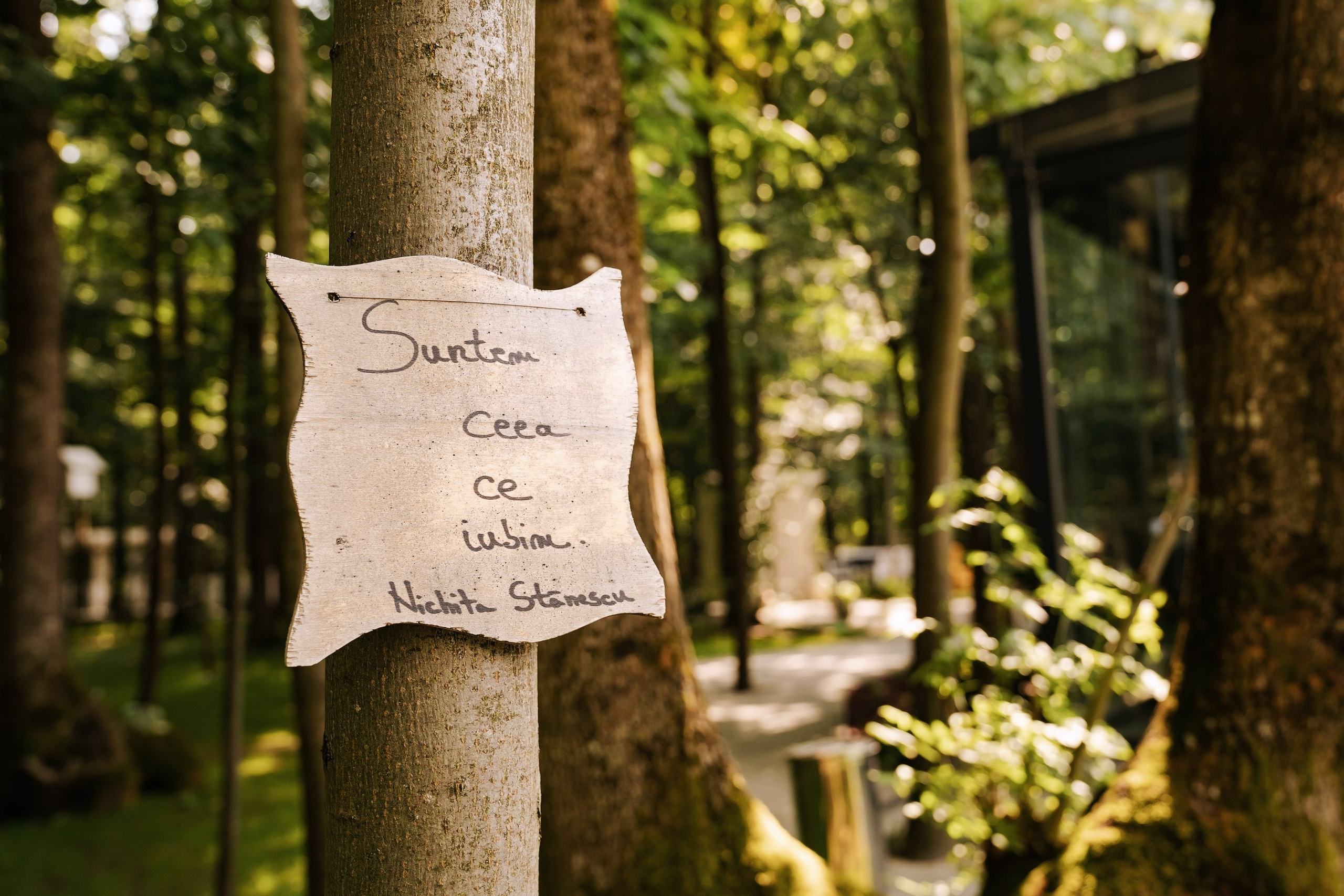 Flavia & Cosmin (partea a II-a). Fotograf evenimente. Fotograf nunta. Fotograf Botez. Mihaela Savu