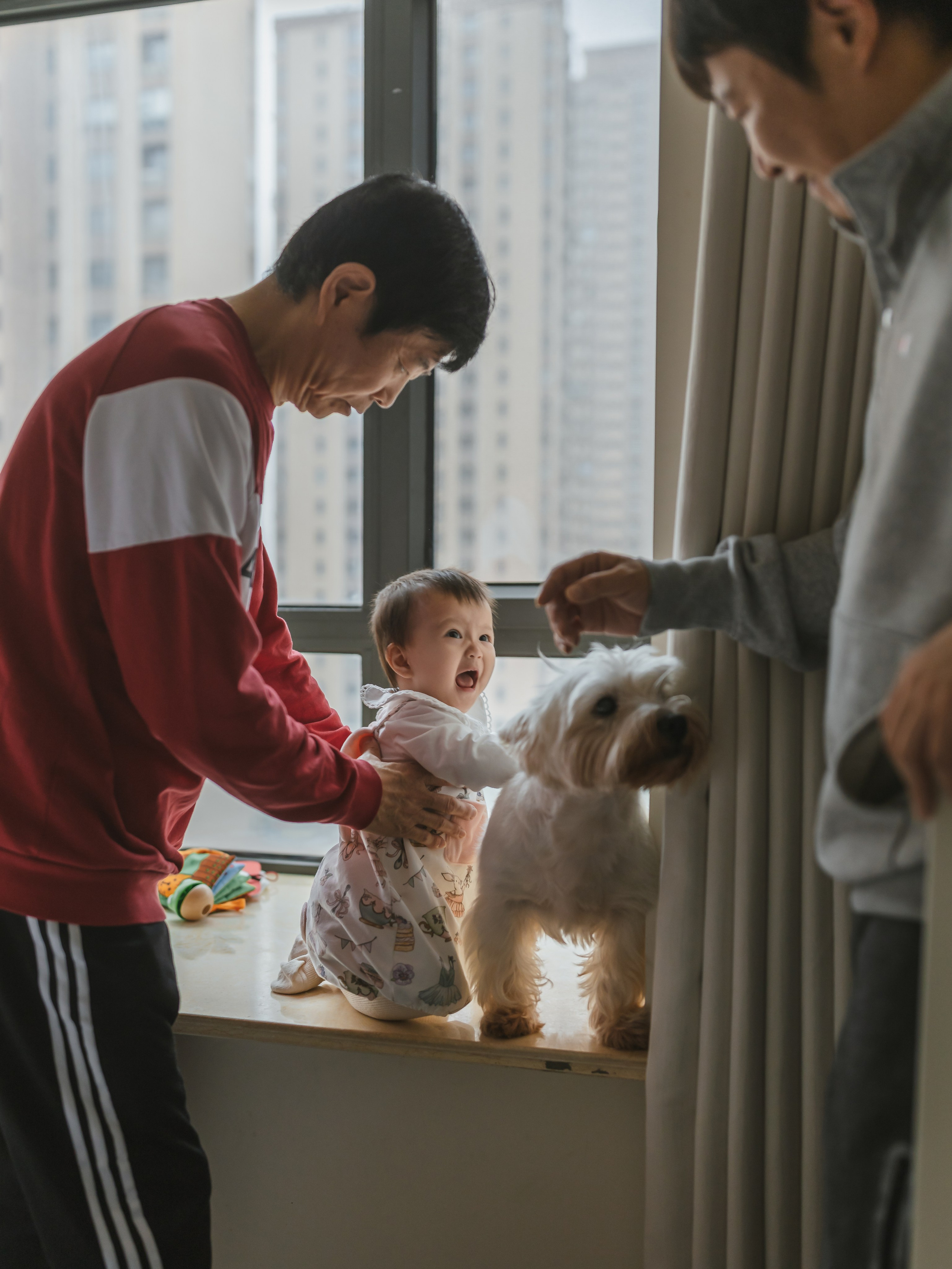 Photos of pets. Shanghai Family Photographer Dora