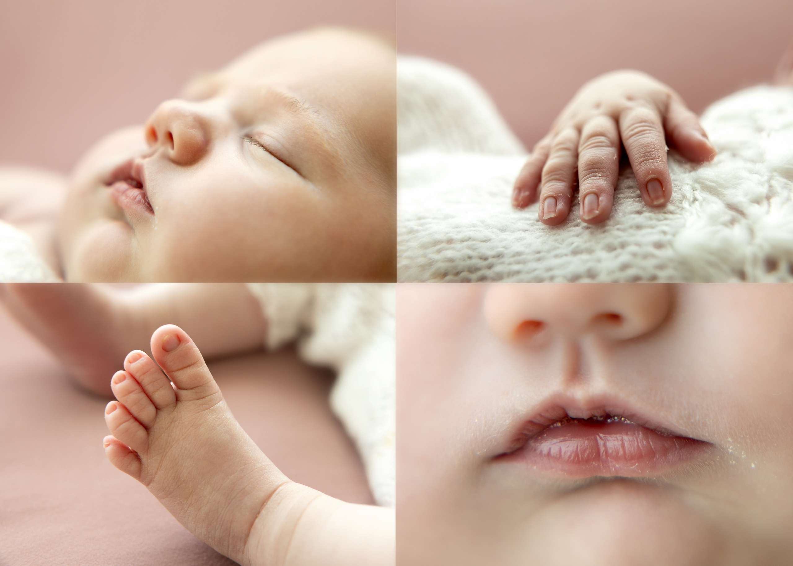 newborn macro photos