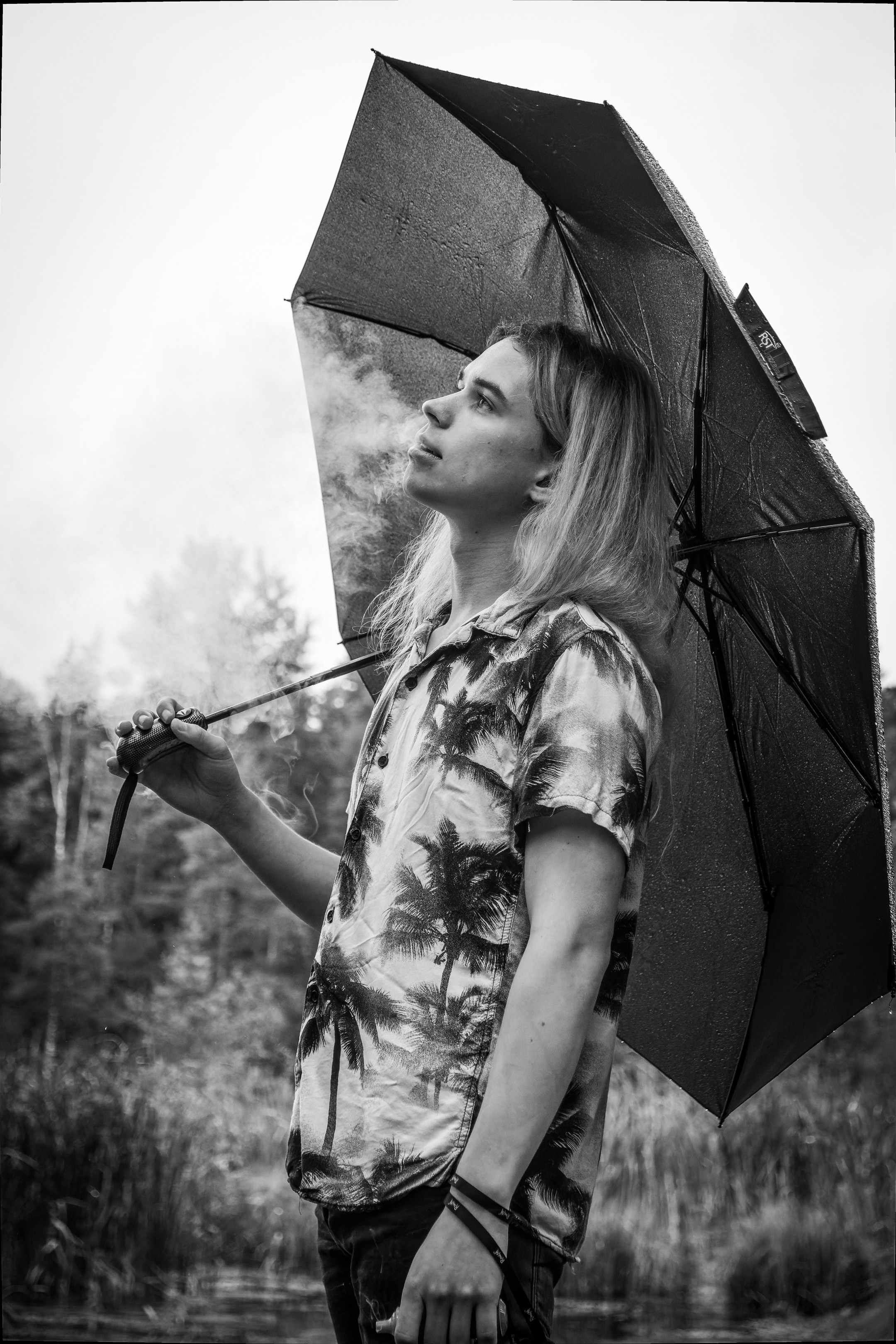 Mets, vihm ja jahedus (Dimitry). Nebula 25 — Fotod teie hingele