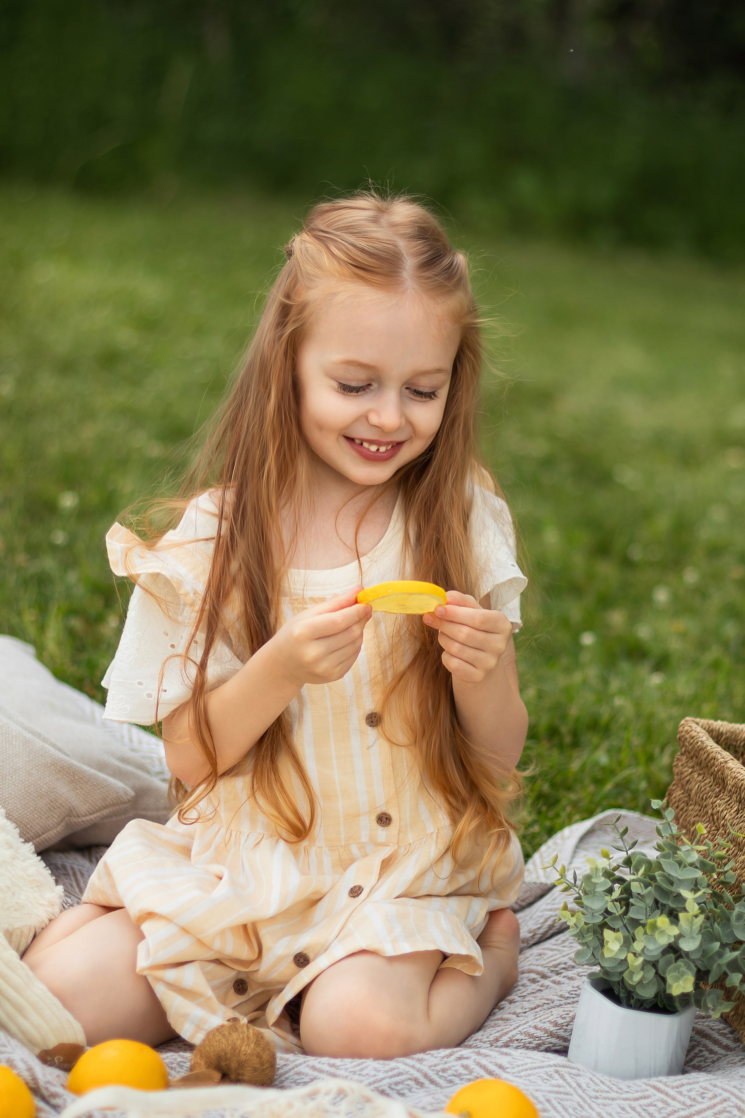 Lemon Picnic. Photographer Yana Galetskaya in Grand Prairie