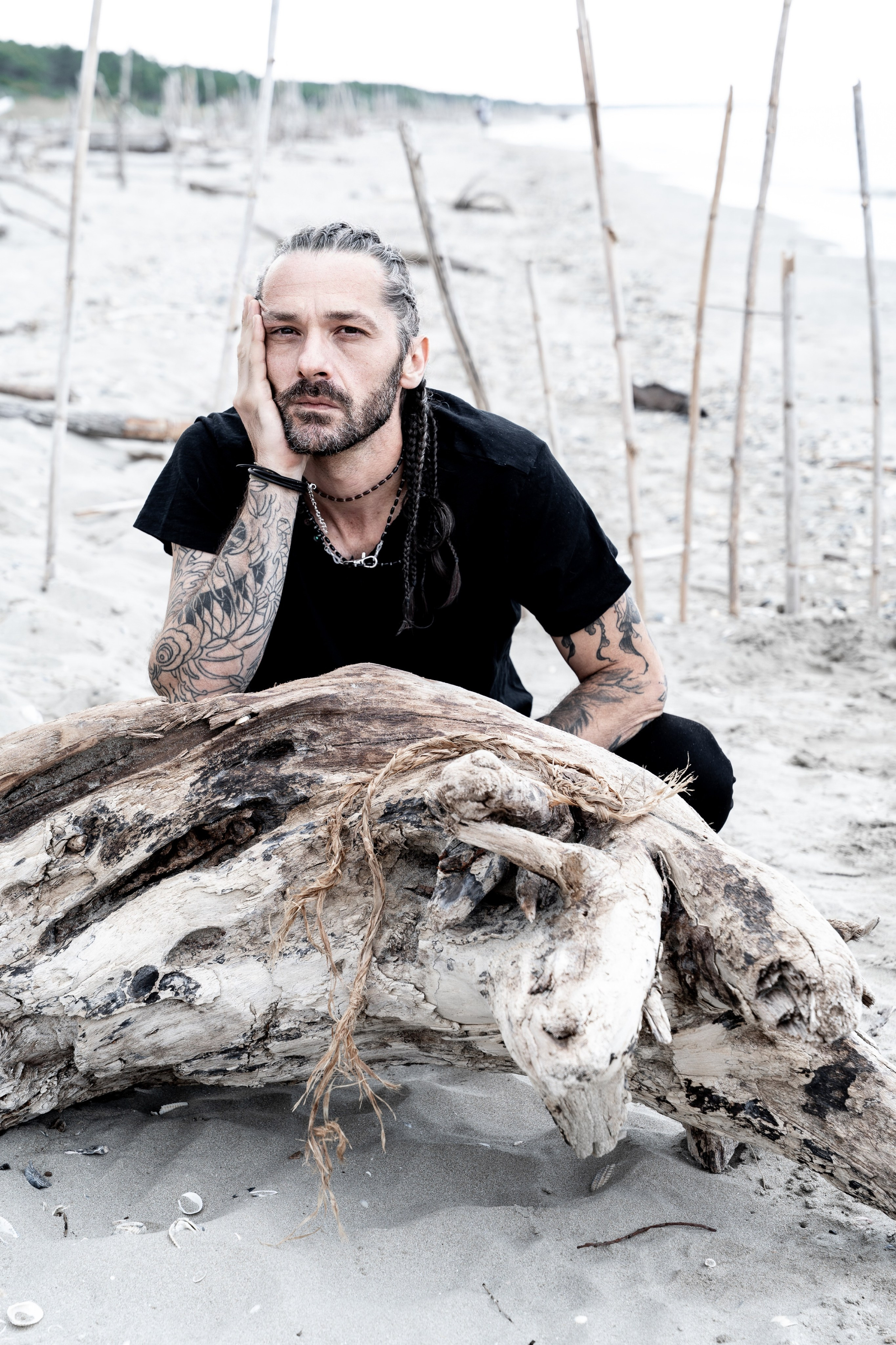 Blastema. Fotografia e video