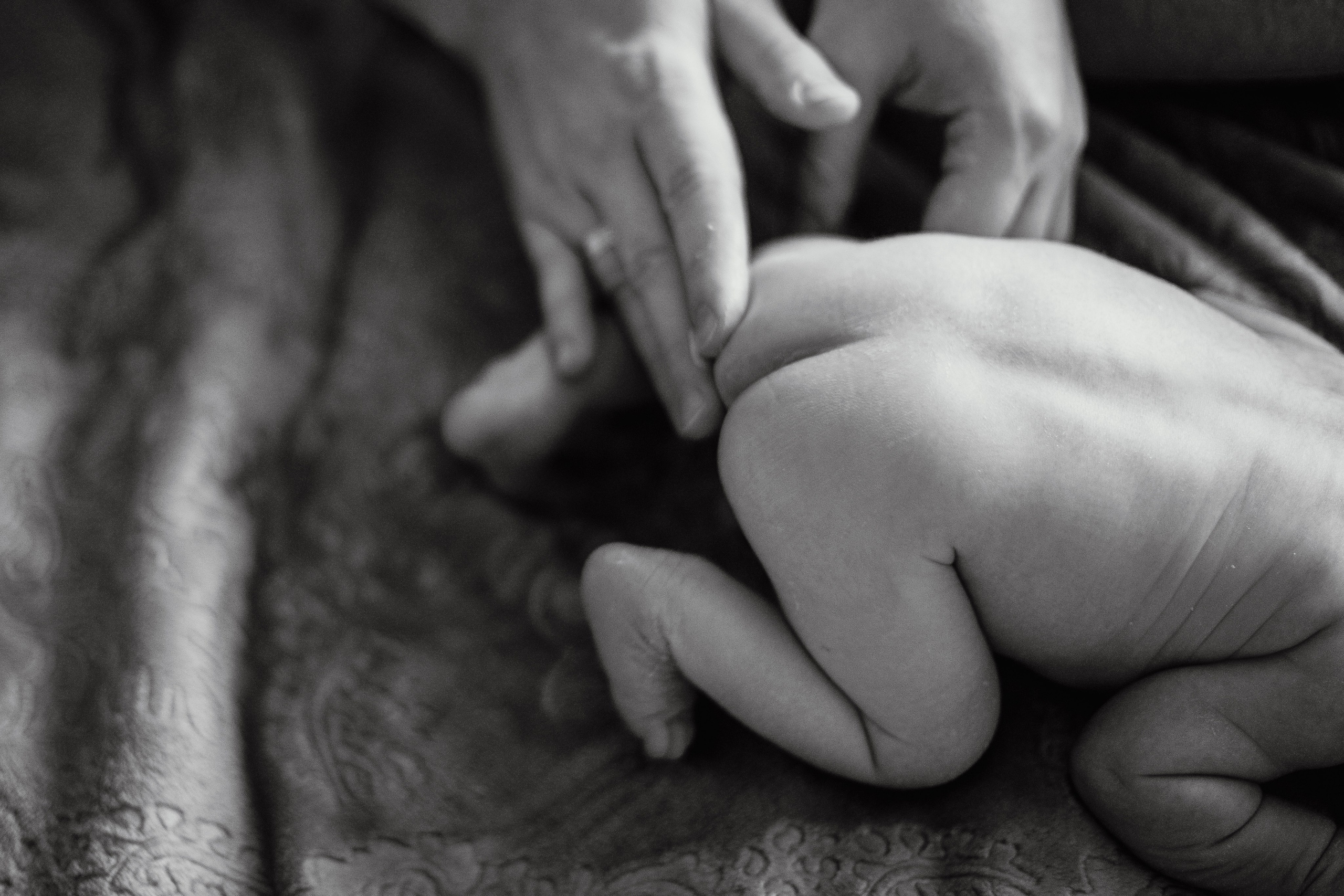 Home Newborn Photography – Candid & Intimate Moments. Alisa Tant — Family and newborn photographer Bucks County, Montgomery county, Philadelphia, NJ