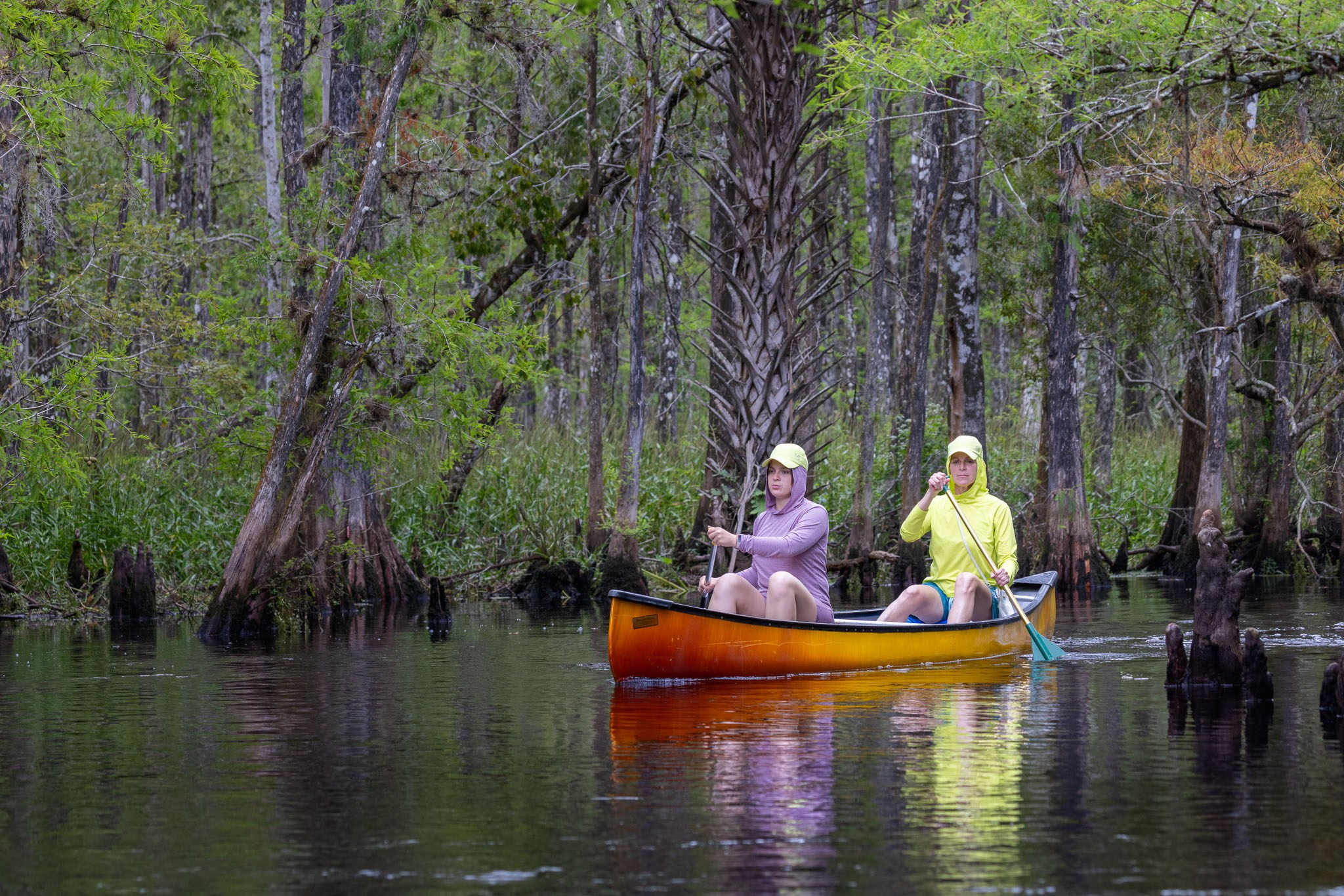 Exploring True Florida: Springs, Rivers & Manatees by Canoe. Pet, Senior, Landscape, portrait studio, photographer in Miami and Sou