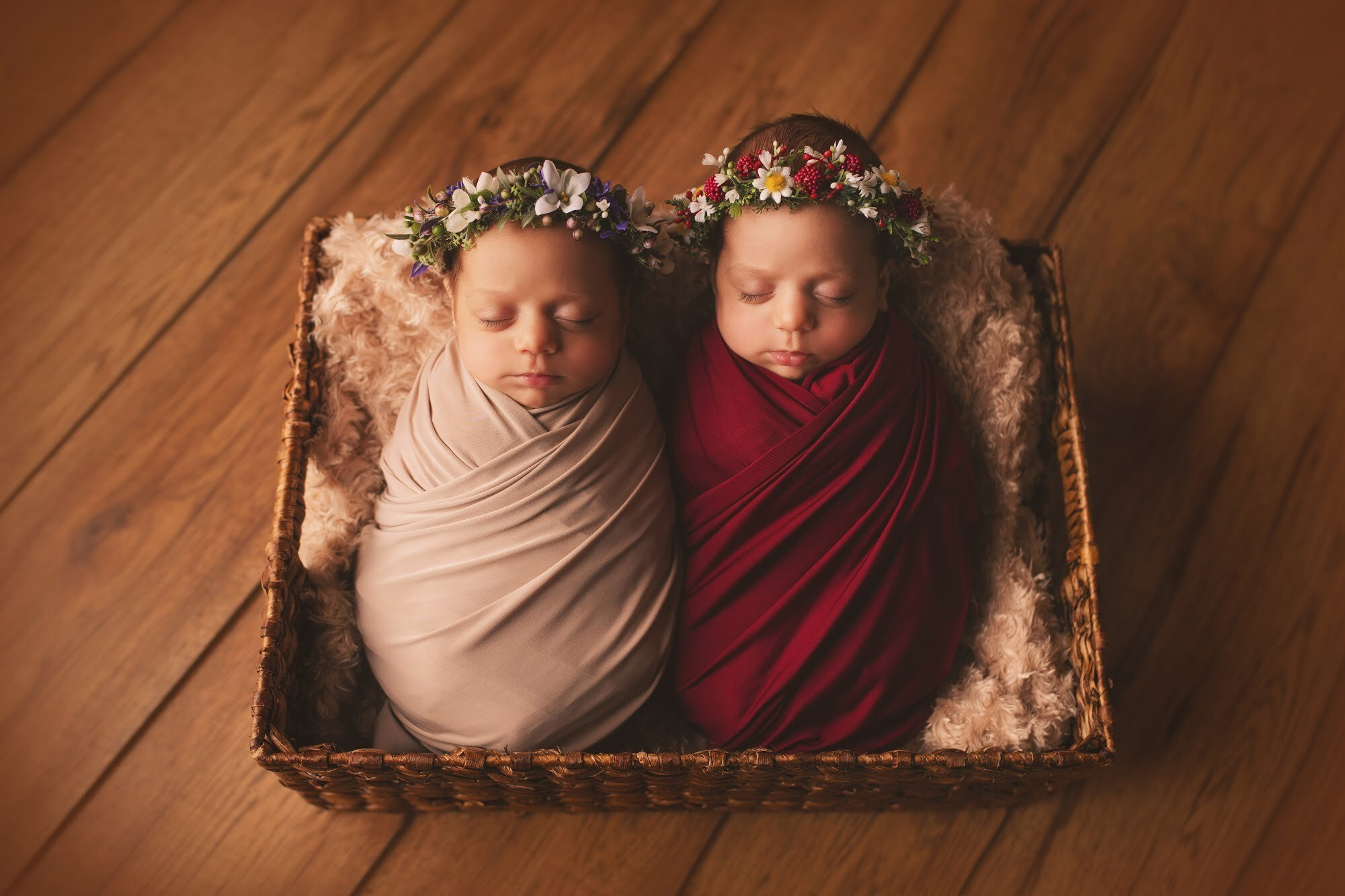 Ottawa Newborn and Baby Newborn Photographer Elena Helali