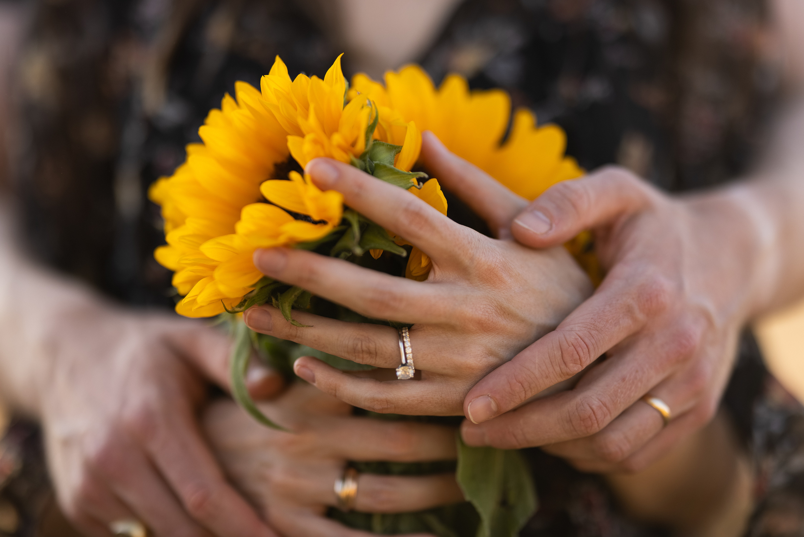 Stephanie & Felix. Family photographer Zurich & Switzerland Daria Moore