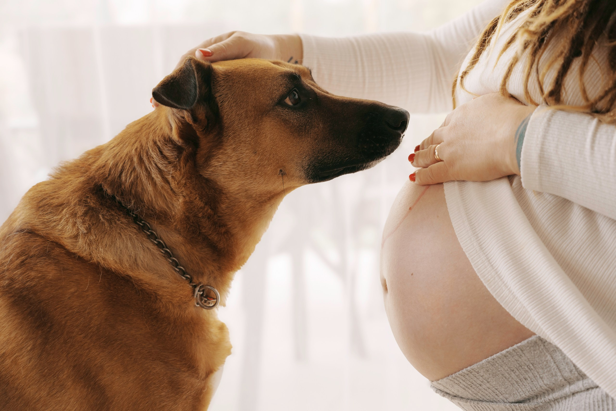 Катерина. Фото и видео съемка