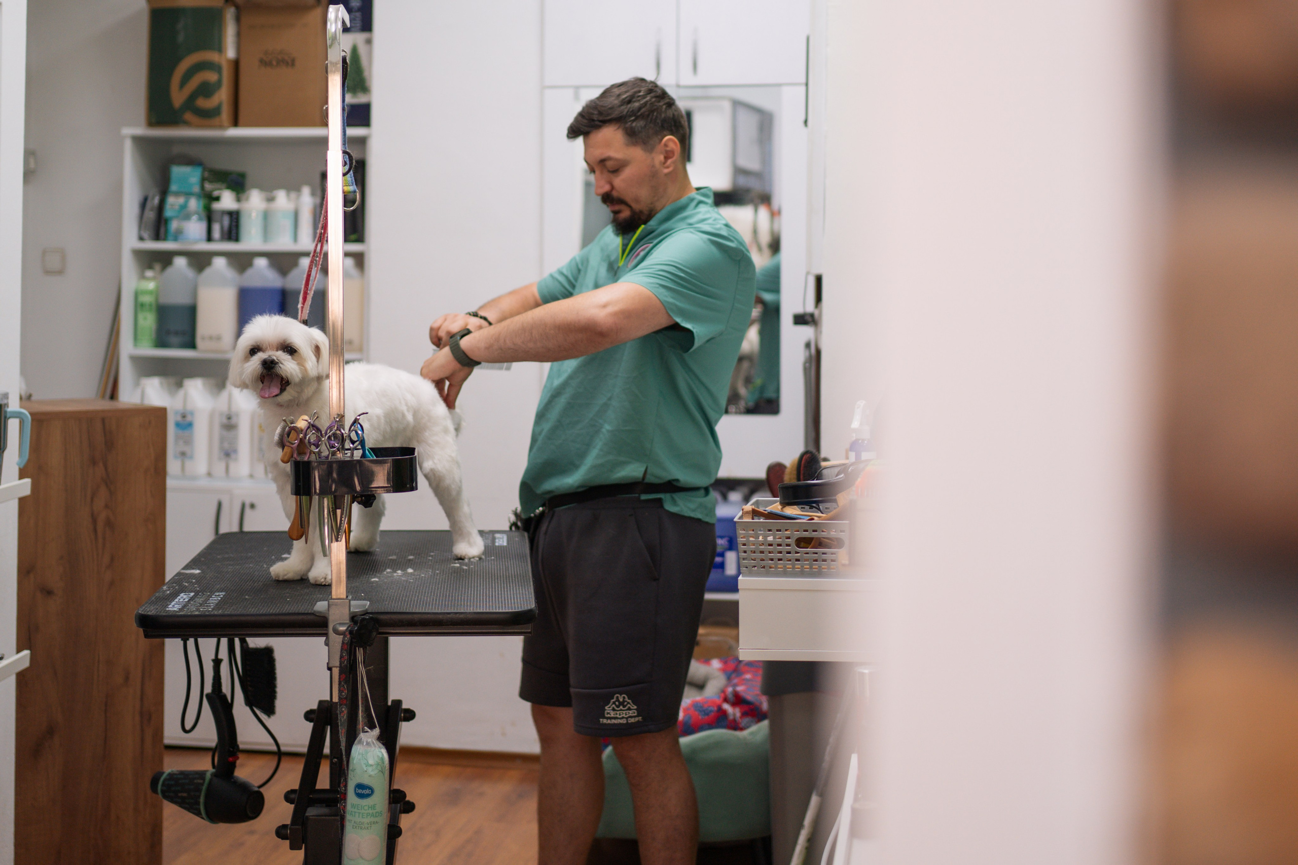 PetGroom Timisoara. Cozac Cristian Photographer