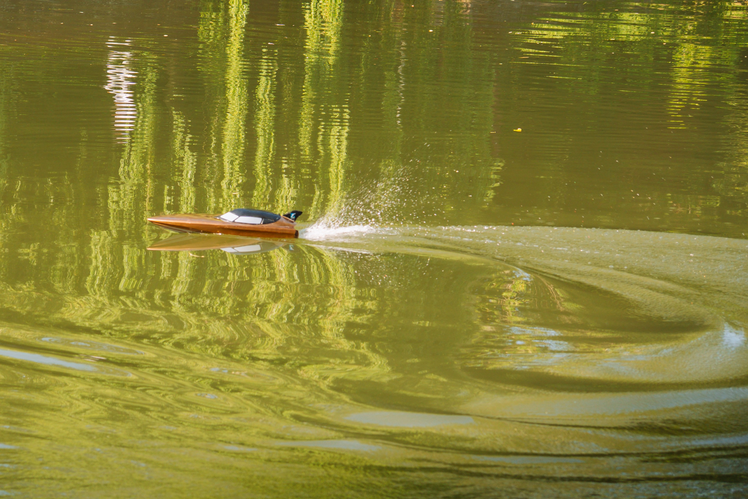 06.04 Bega Boat Race. Cozac Cristian Photographer