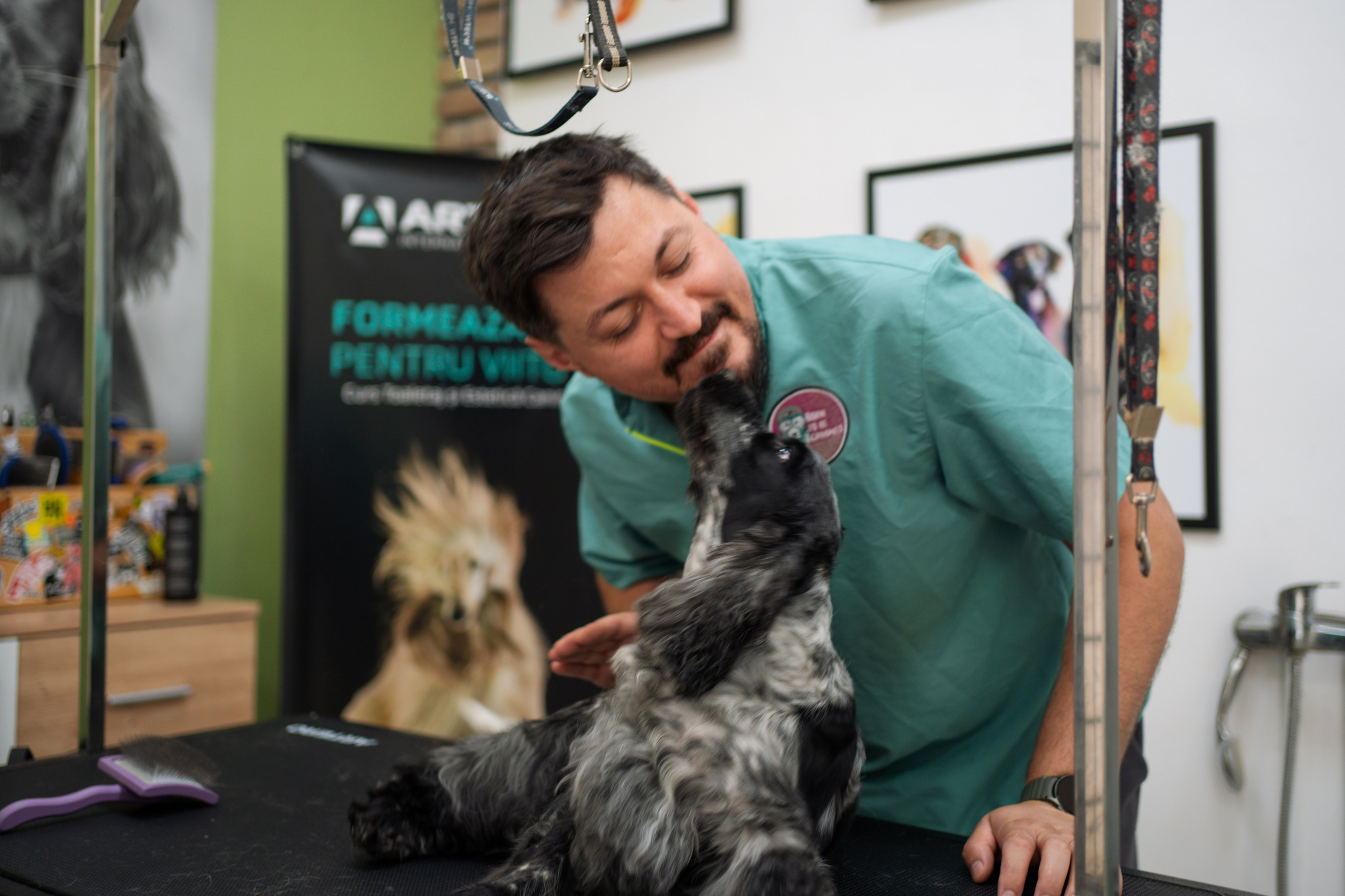 PetGroom Timisoara. Cozac Cristian Photographer