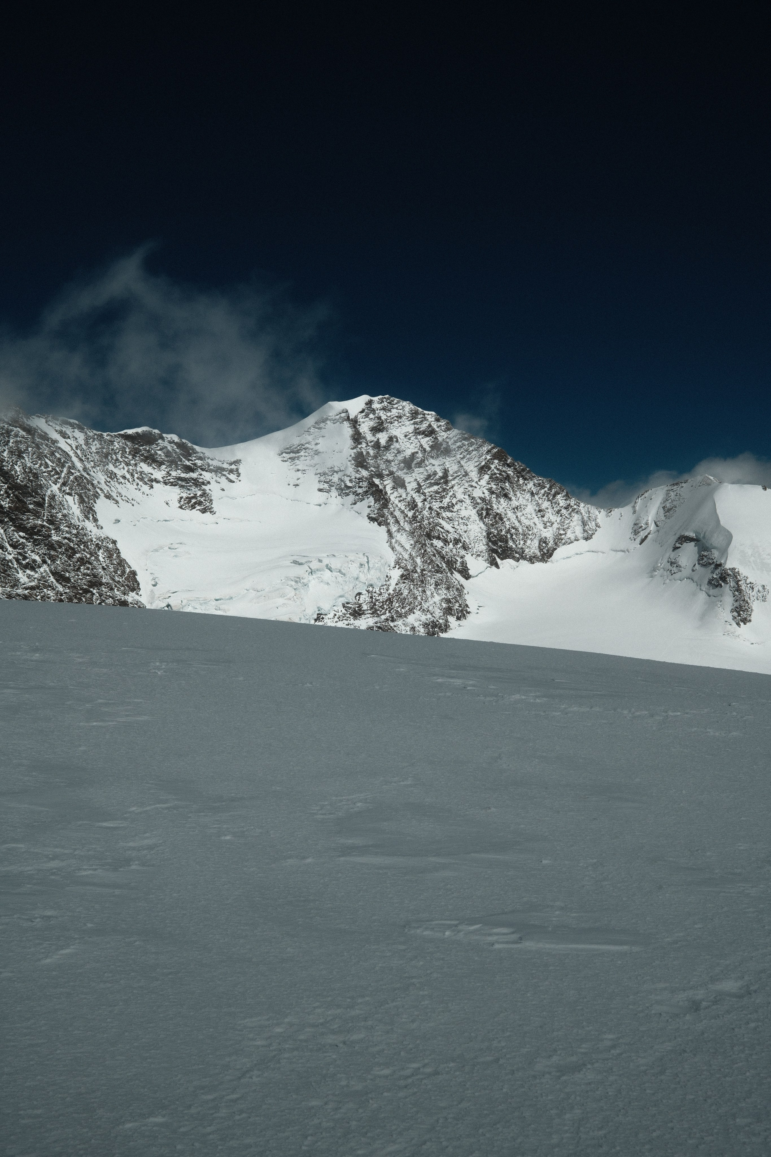 Castor. Patricia Morenci — Mountain Adventures for the Wild at Heart