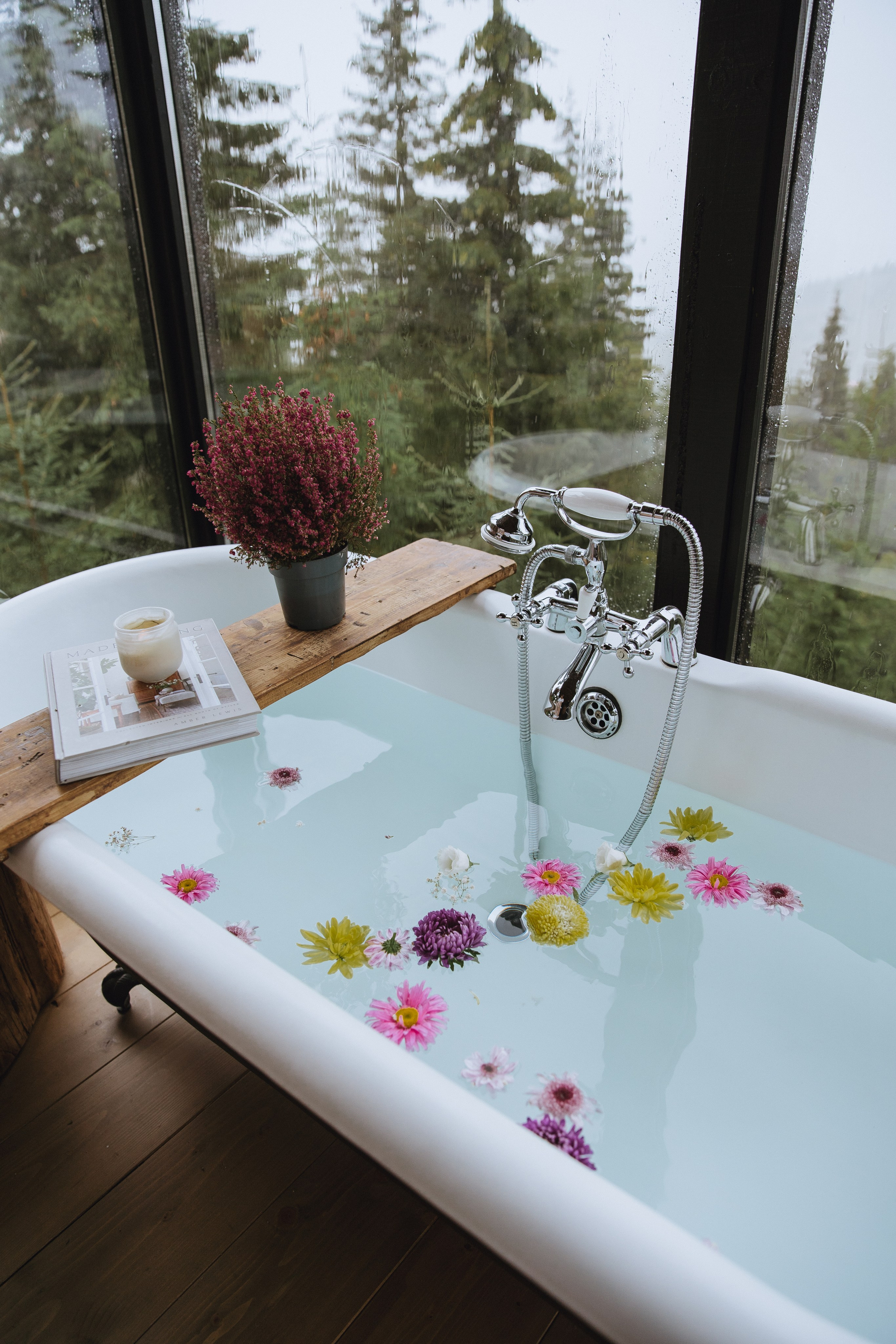 Flowers. Patricia Morenci — Mountain Adventures for the Wild at Heart