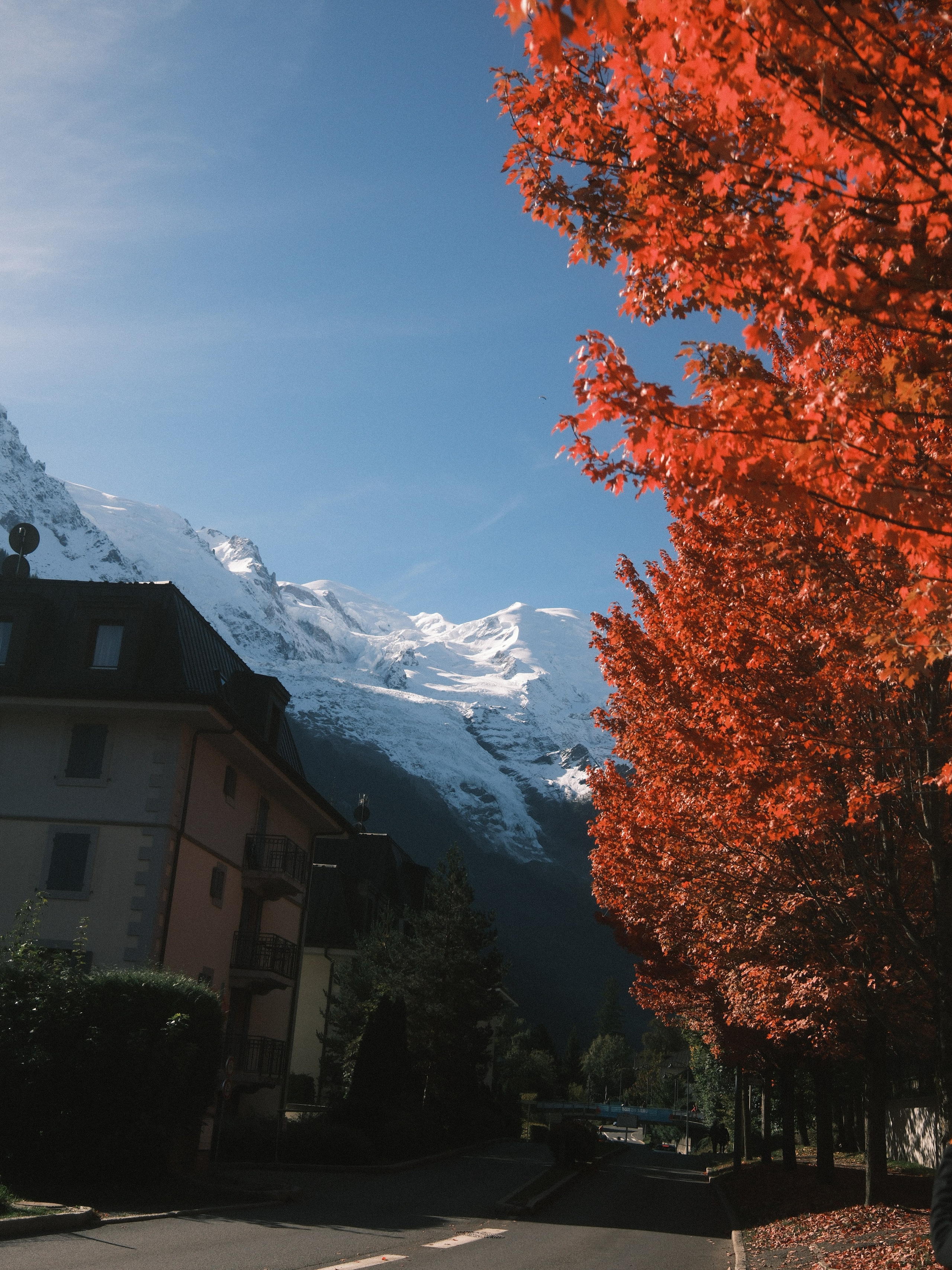 Pioneer Camp. Patricia Morenci — Mountain Adventures for the Wild at Heart