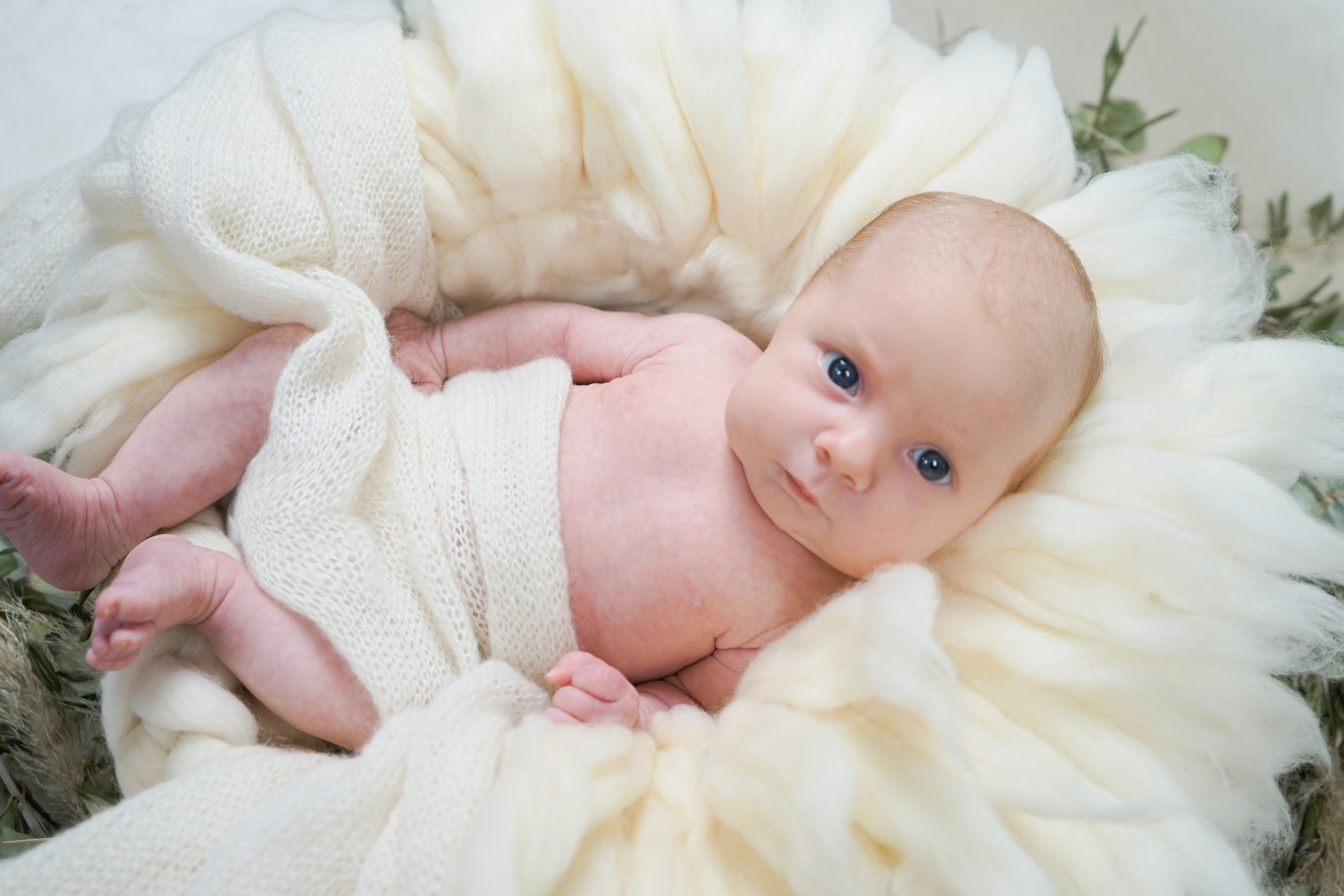 Newborn. Familien Fotograf Kristina Hörner Kri.H.tiv aus 74599 Wallhausen
