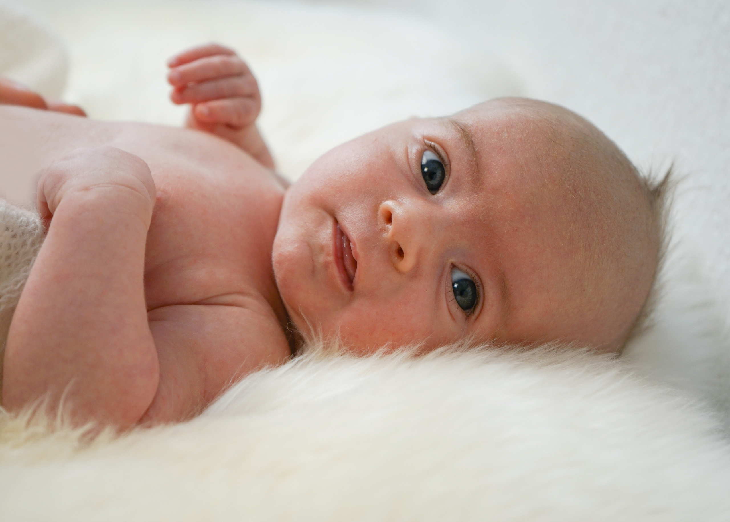 Newborn. Familien Fotograf Kristina Hörner Kri.H.tiv aus 74599 Wallhausen